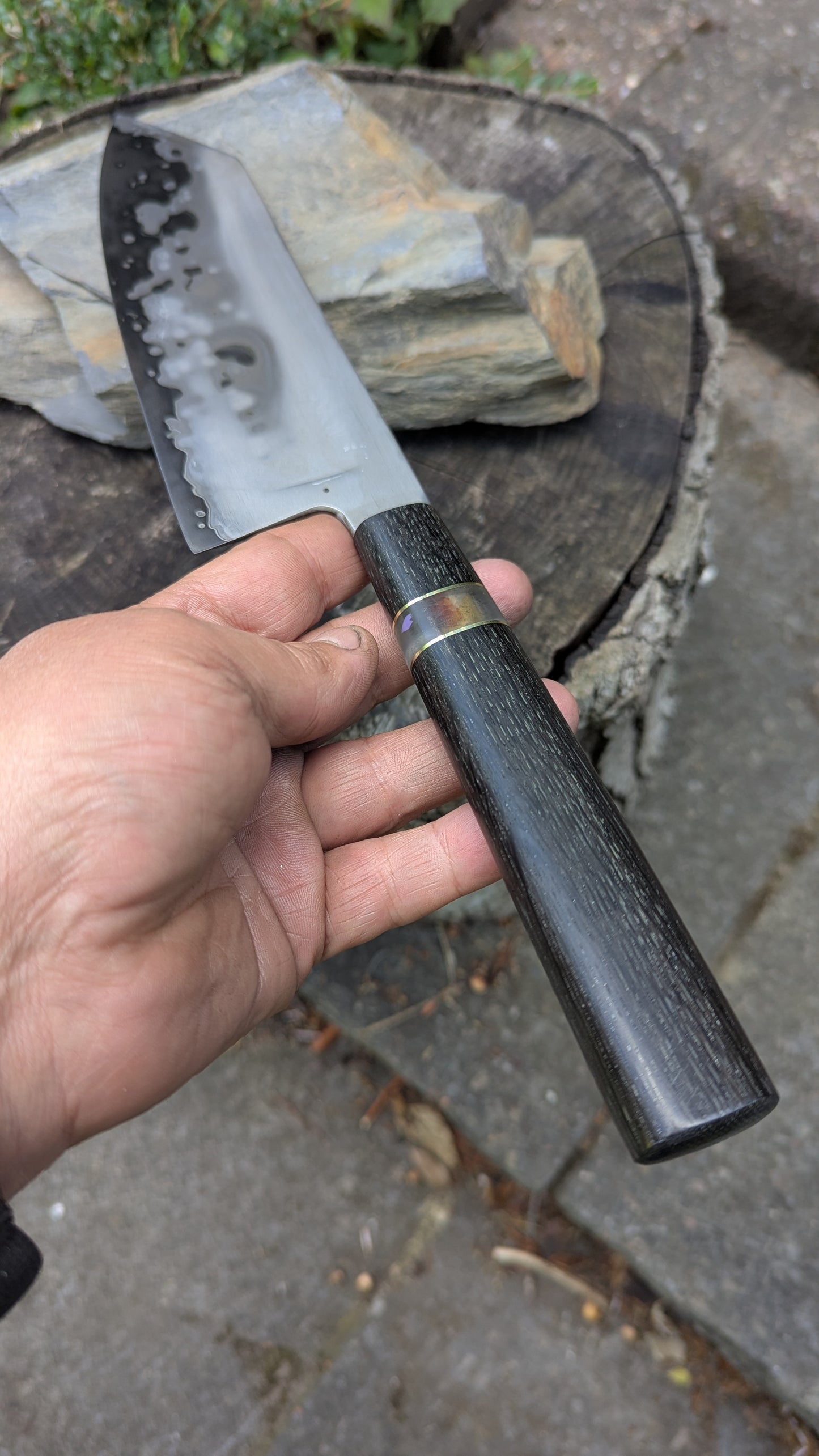 Hand made 8" Takefu super blue stainless clad San Mai. 5600 years old Bog oak handle