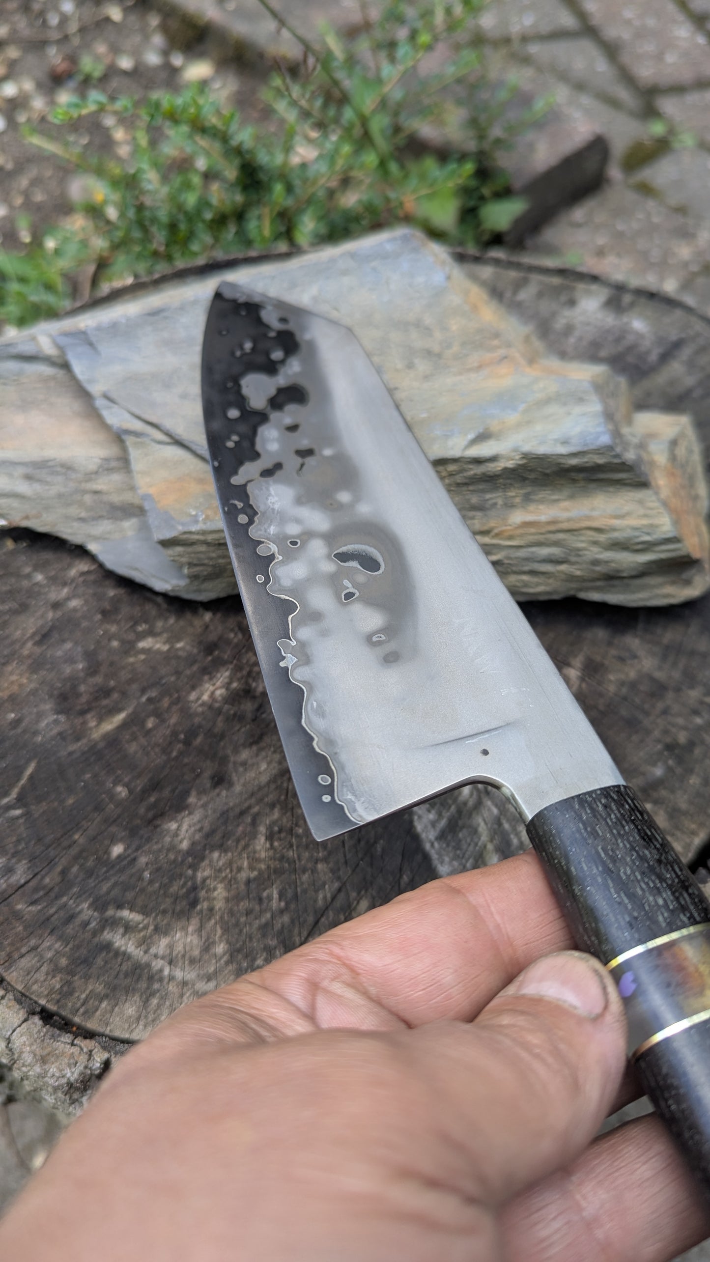 Hand made 8" Takefu super blue stainless clad San Mai. 5600 years old Bog oak handle