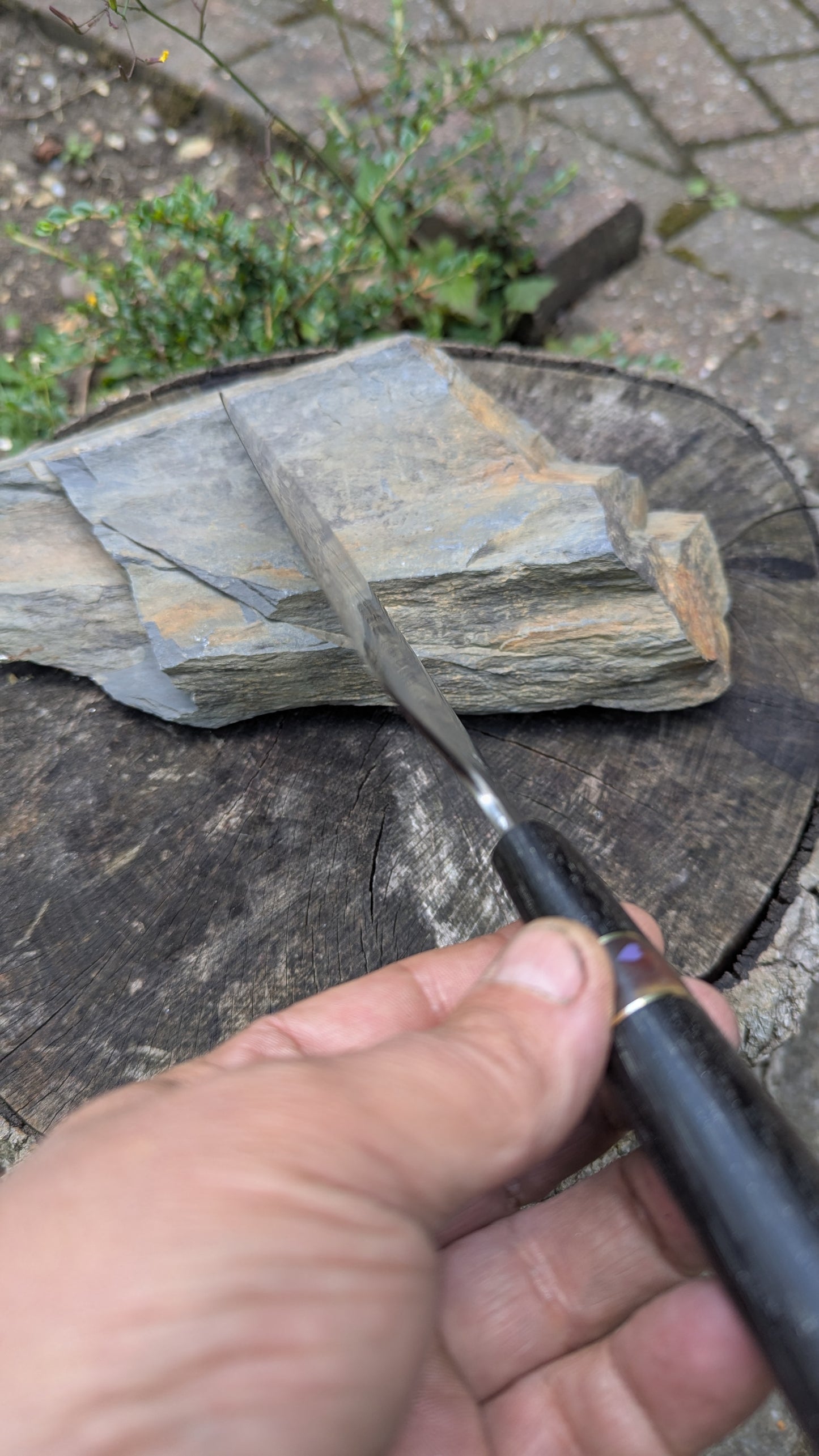 Hand made 8" Takefu super blue stainless clad San Mai. 5600 years old Bog oak handle