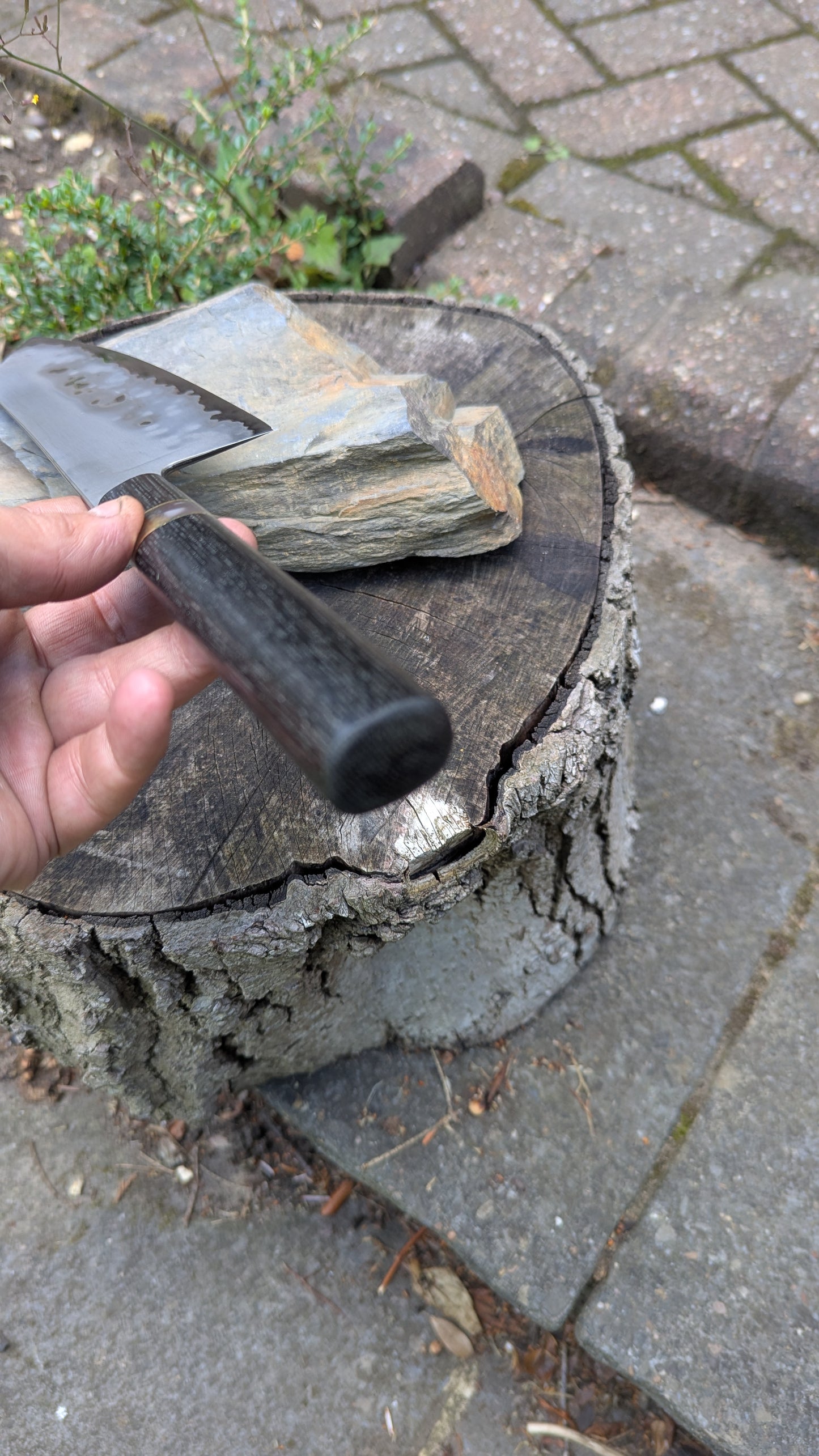 Hand made 8" Takefu super blue stainless clad San Mai. 5600 years old Bog oak handle