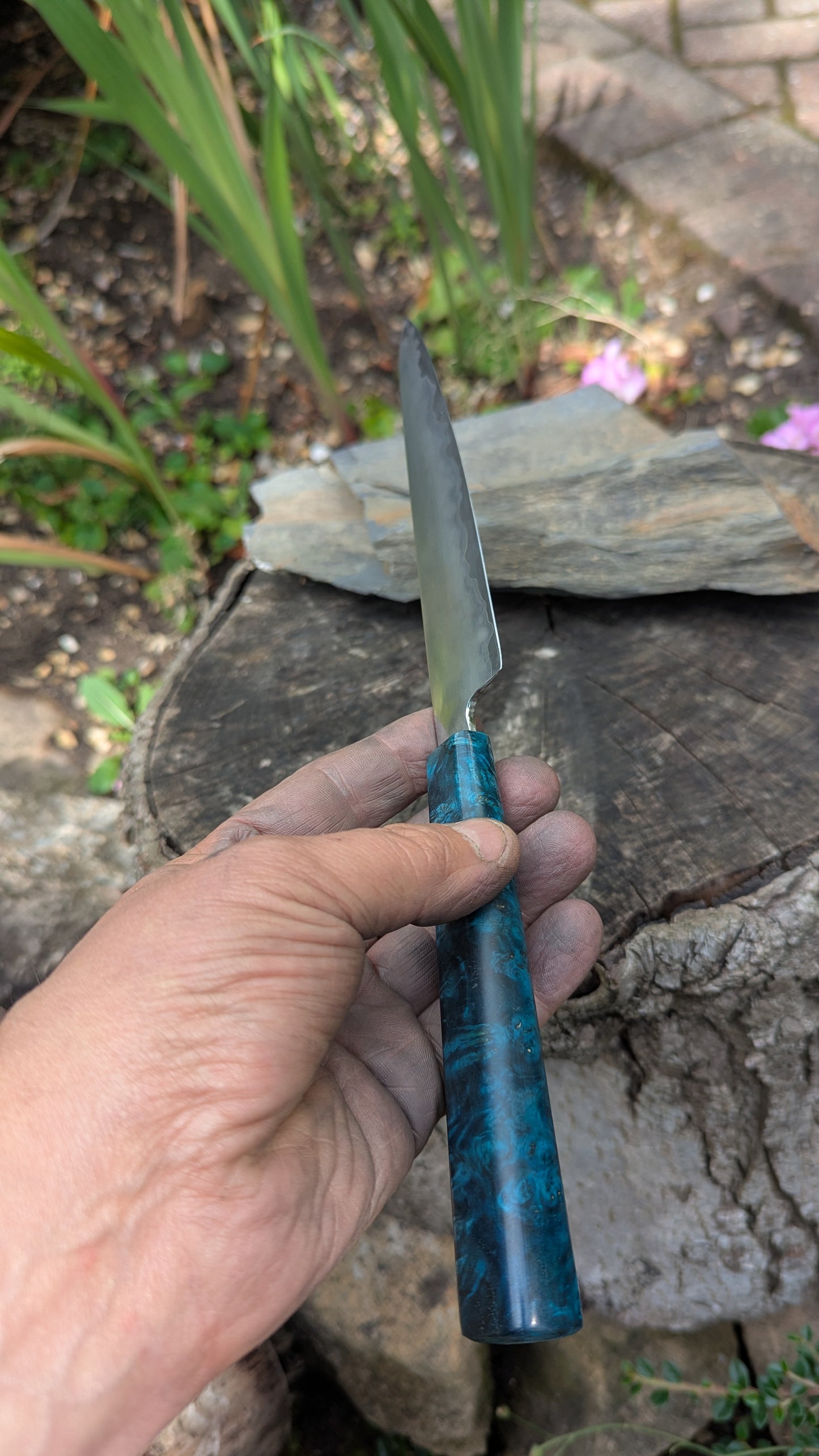 Hand made 6" Takefu super blue stainless clad San Mai. Amboyna burl handle