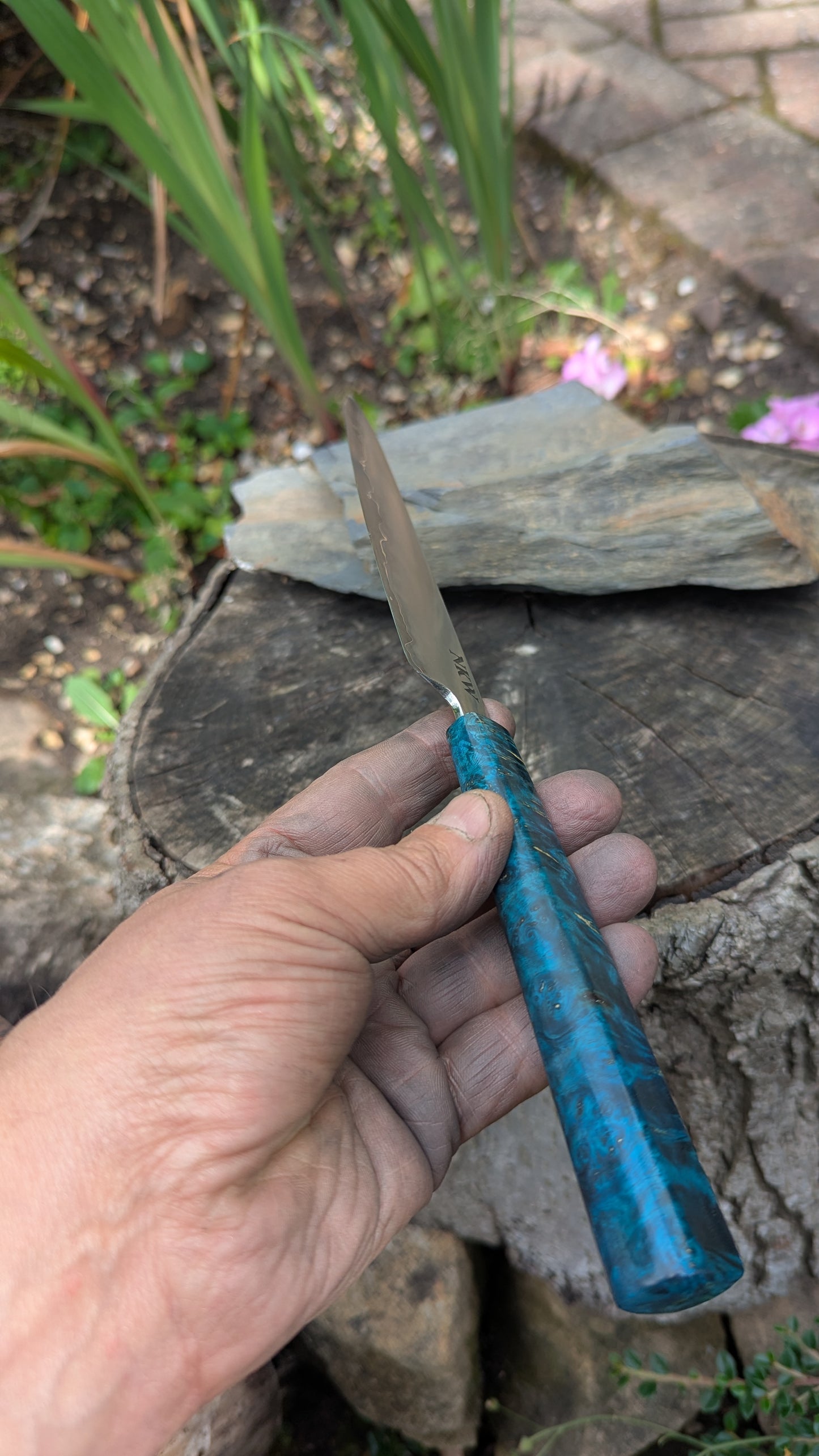 Hand made 6" Takefu super blue stainless clad San Mai. Amboyna burl handle