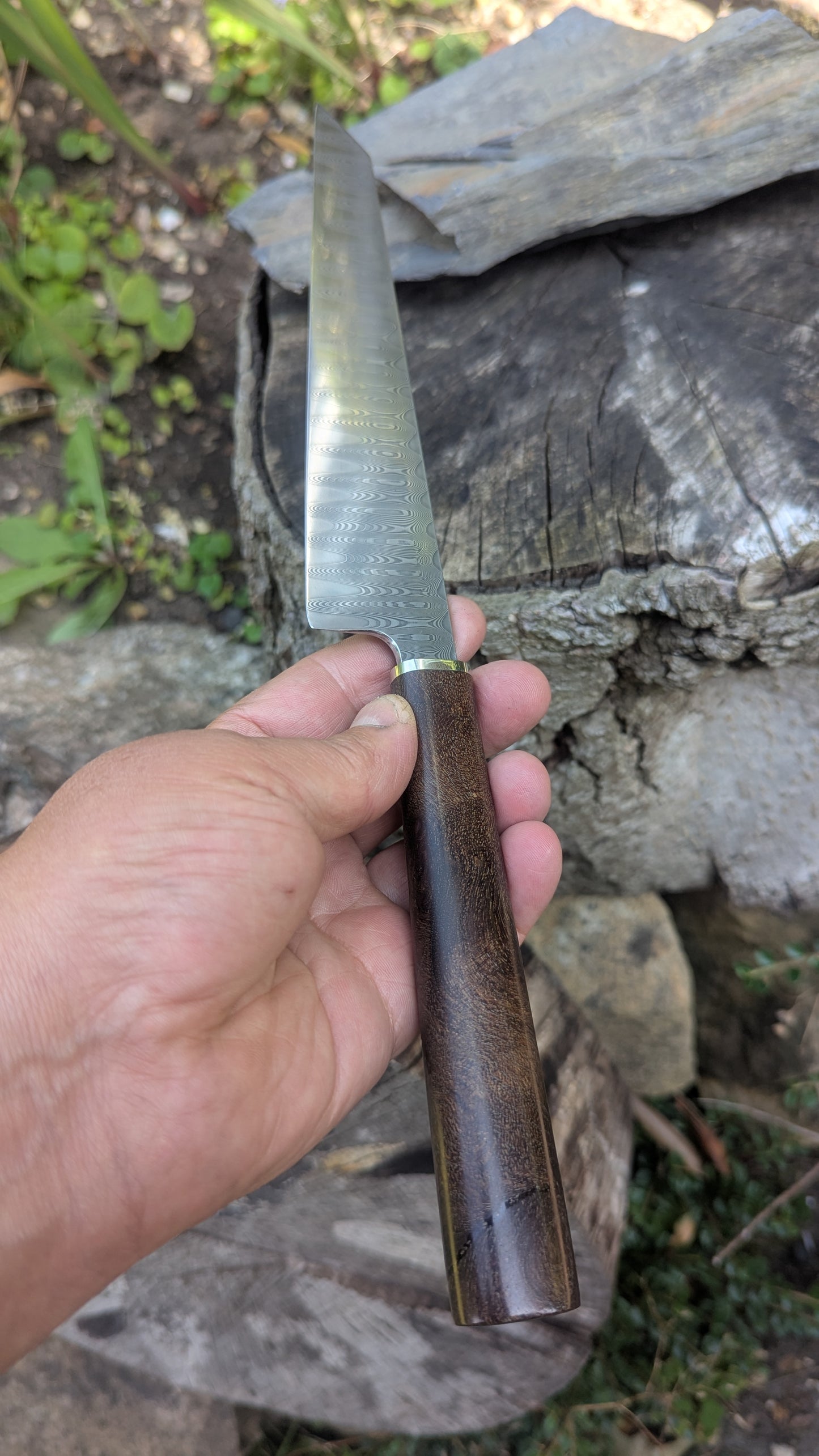 Hand made 8" stainless damascus san Mai. Burr Elm wood handle