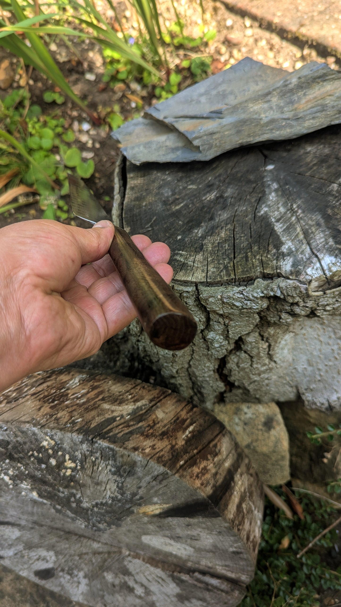 Hand made 8" stainless damascus san Mai. Burr Elm wood handle