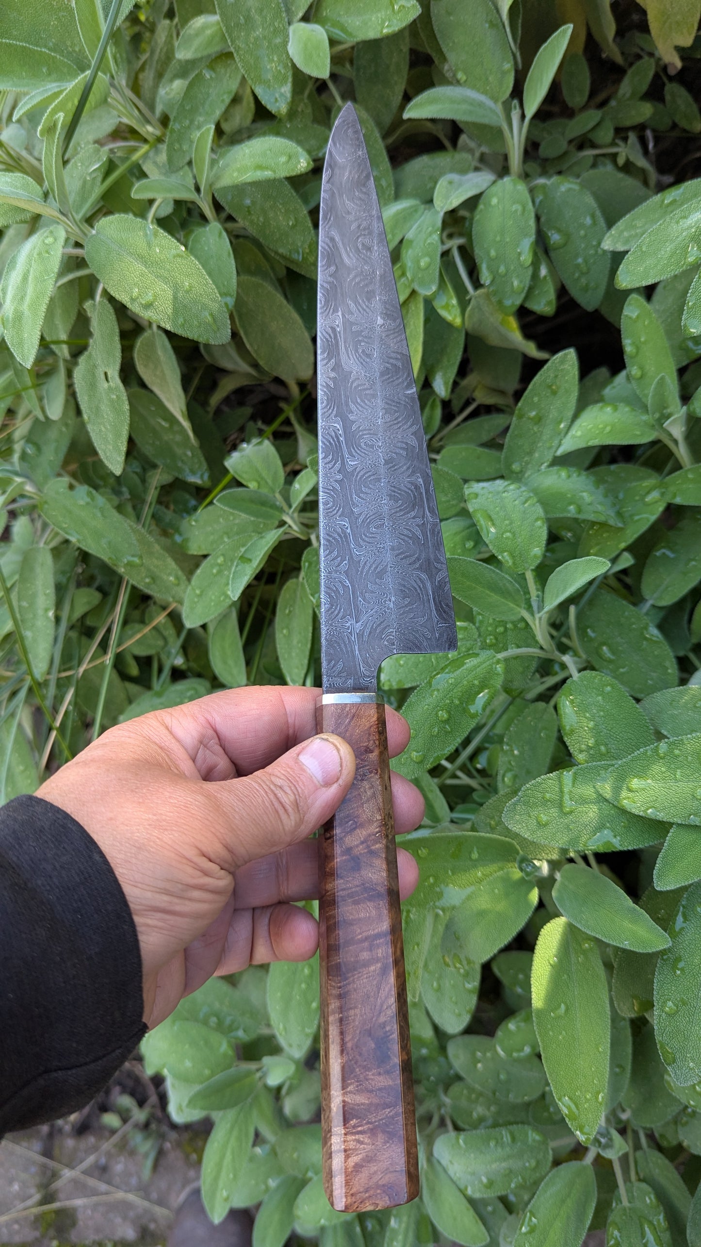 Handmade 8" Carbon Steel Damascus, Wood Burl