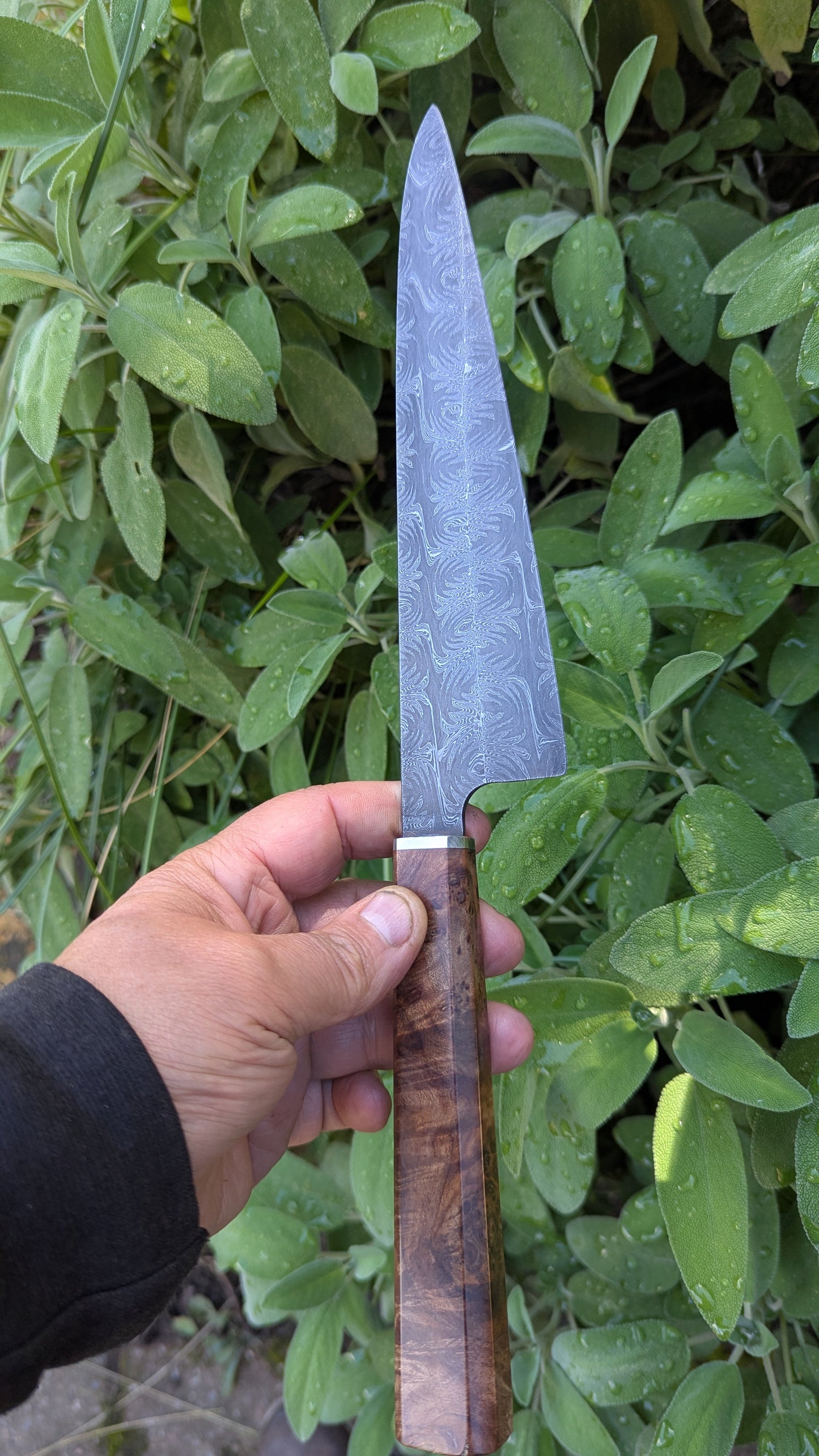 Handmade 8" Carbon Steel Damascus, Wood Burl