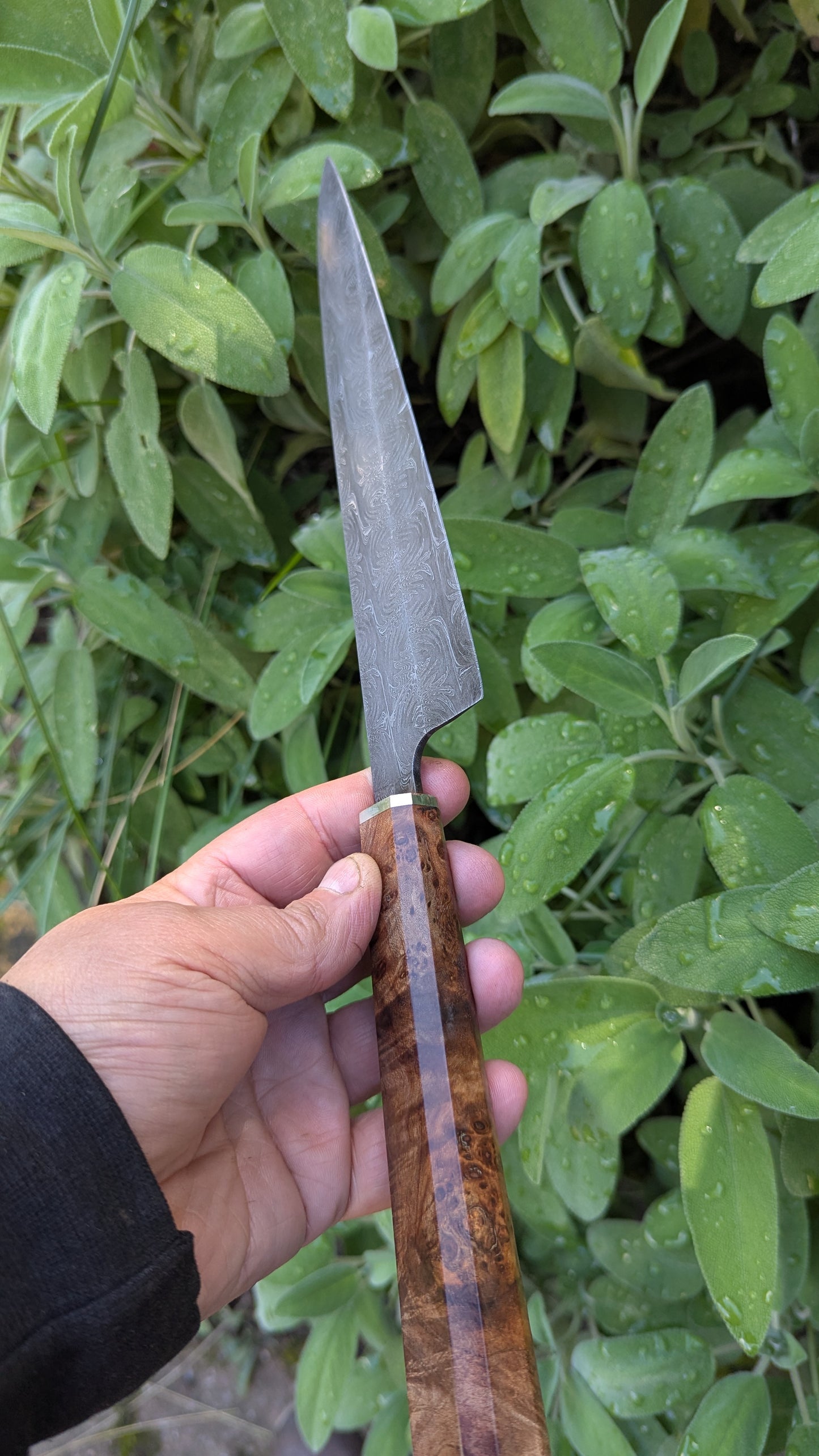 Handmade 8" Carbon Steel Damascus, Wood Burl