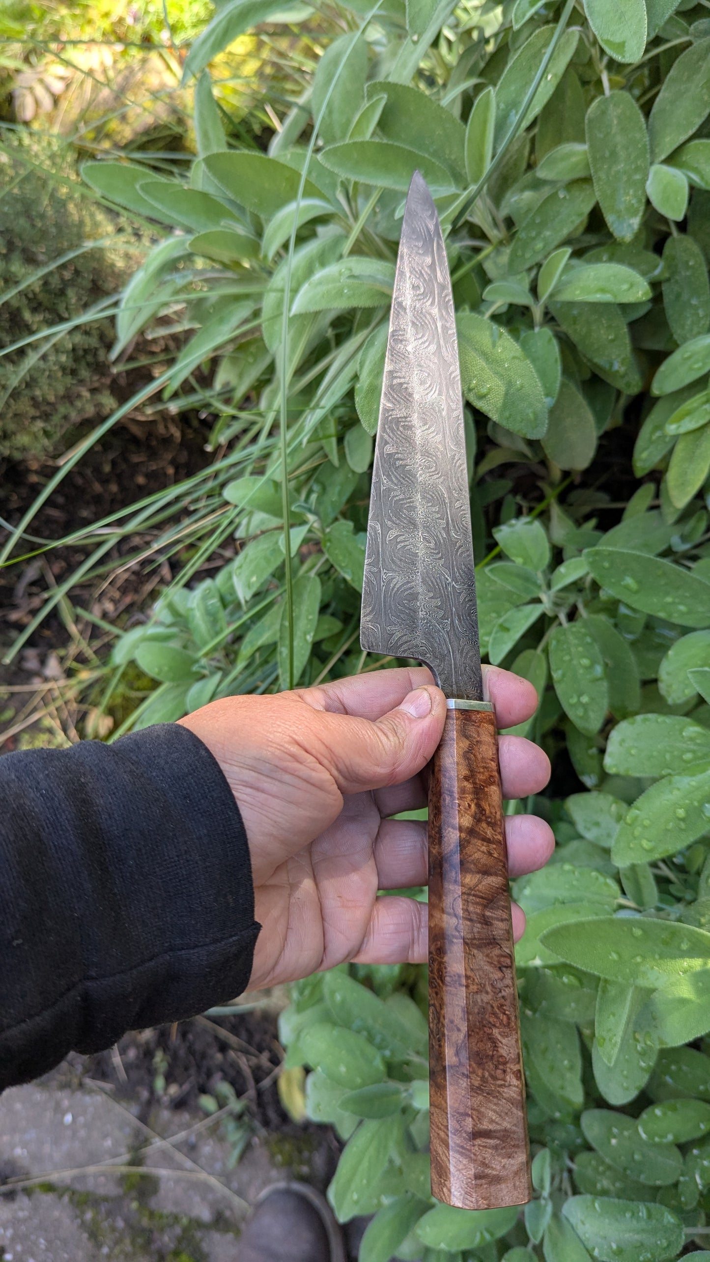 Handmade 8" Carbon Steel Damascus, Wood Burl