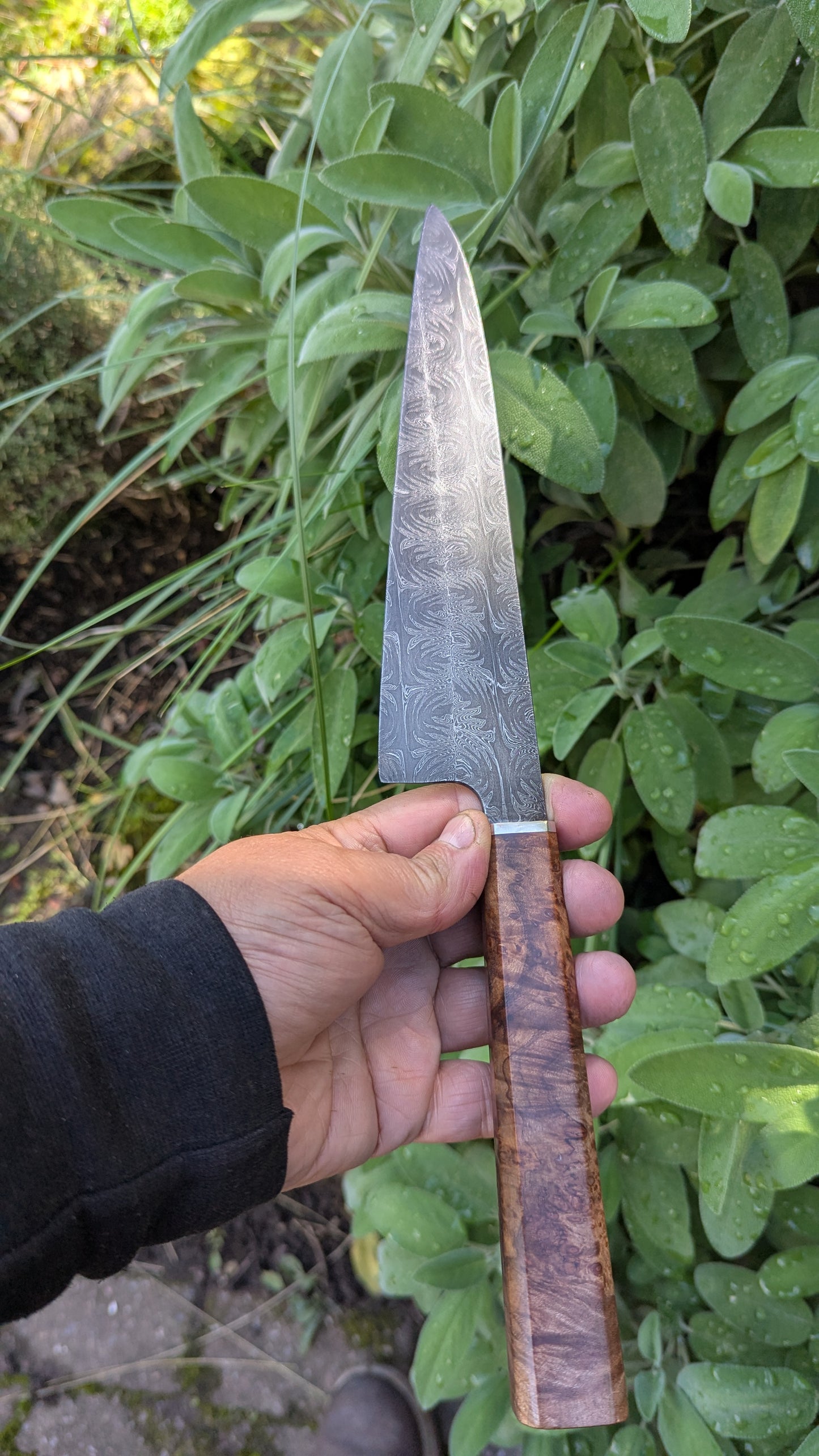 Handmade 8" Carbon Steel Damascus, Wood Burl