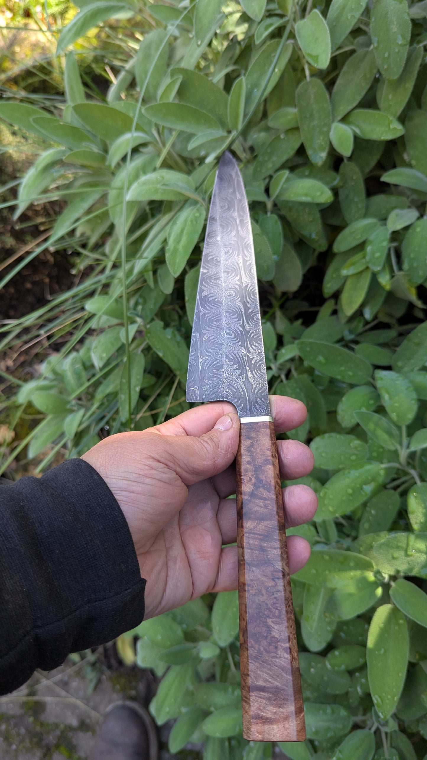Handmade 8" Carbon Steel Damascus, Wood Burl