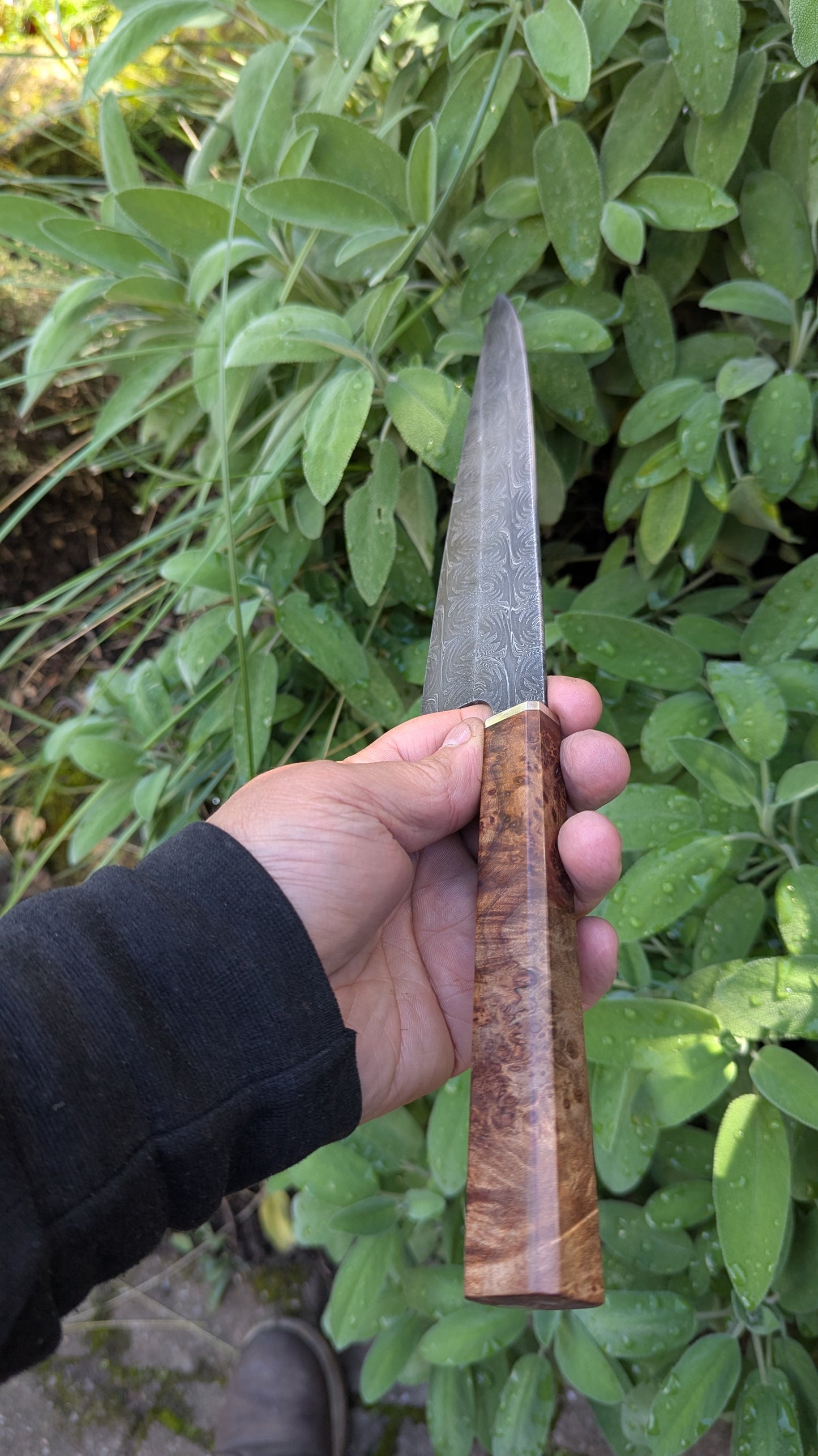 Handmade 8" Carbon Steel Damascus, Wood Burl