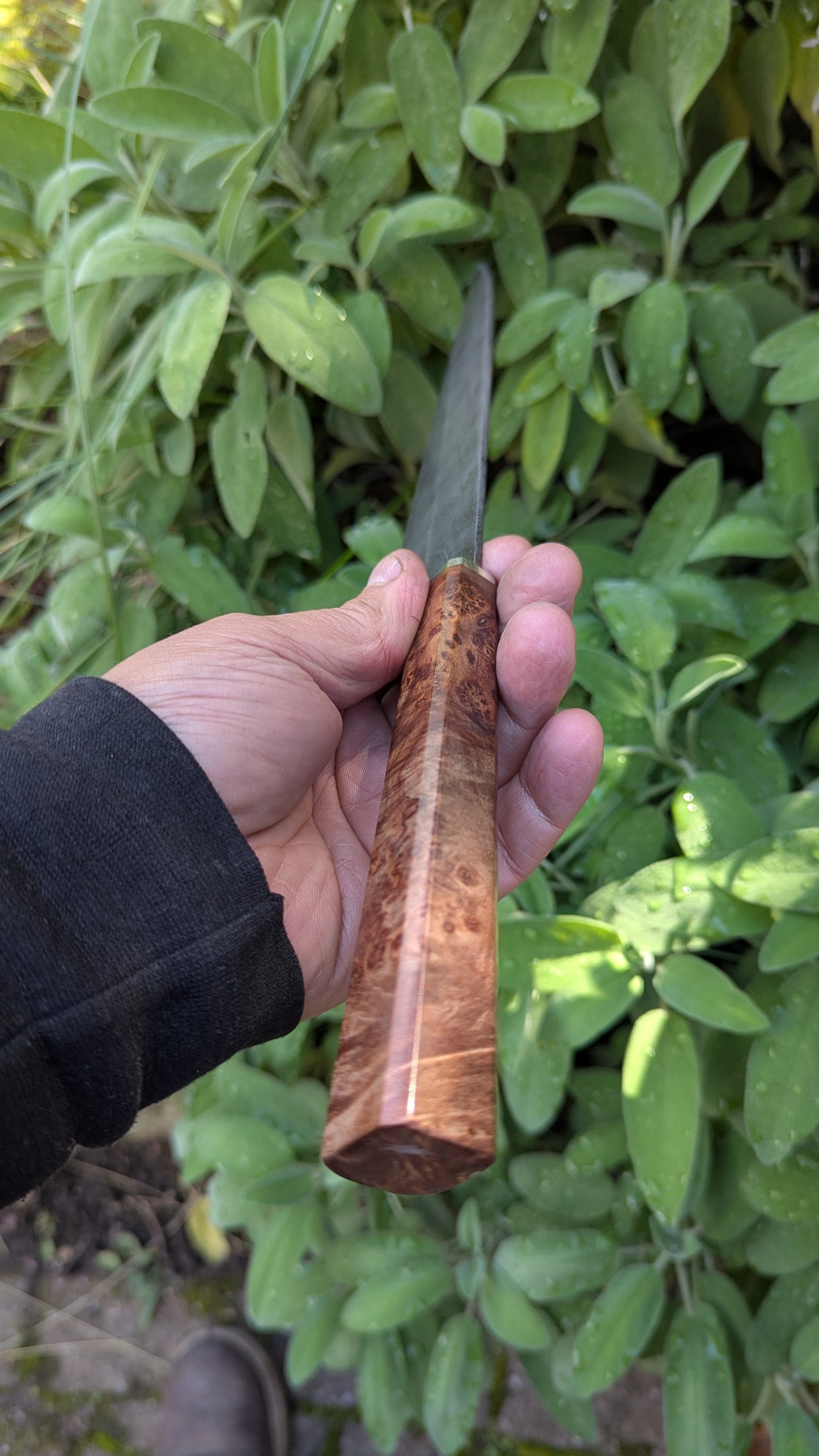 Handmade 8" Carbon Steel Damascus, Wood Burl