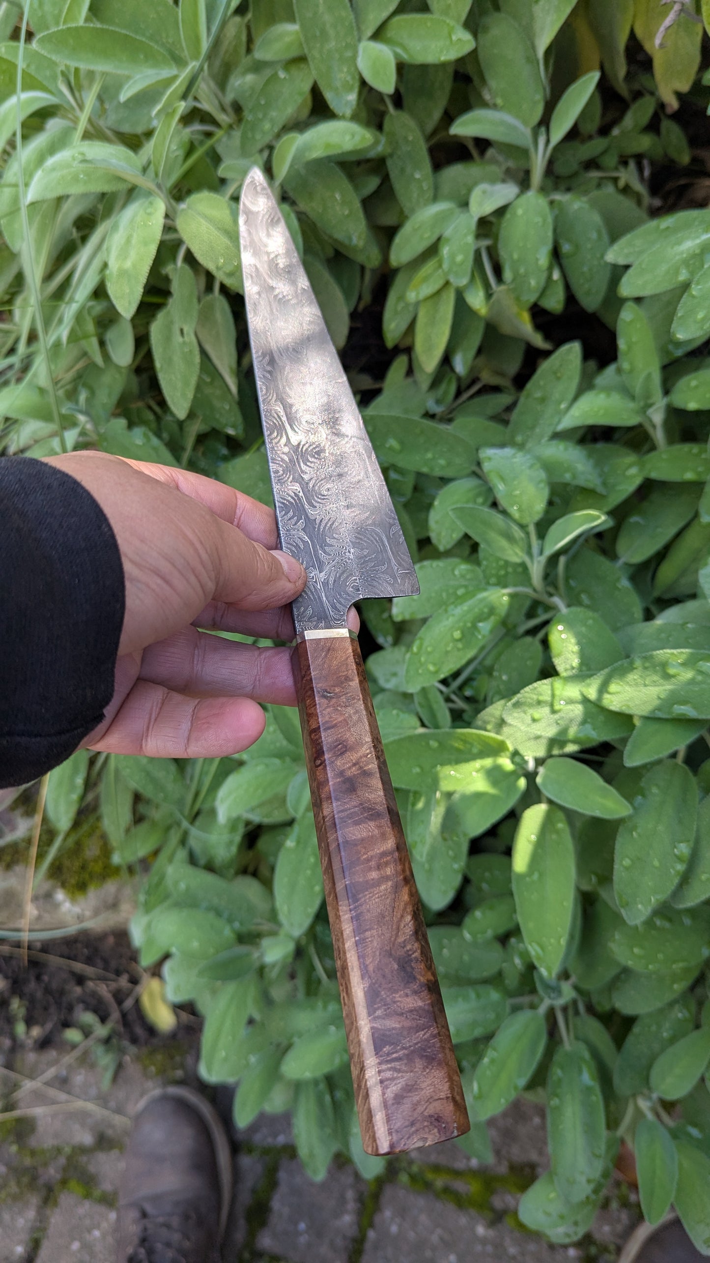 Handmade 8" Carbon Steel Damascus, Wood Burl