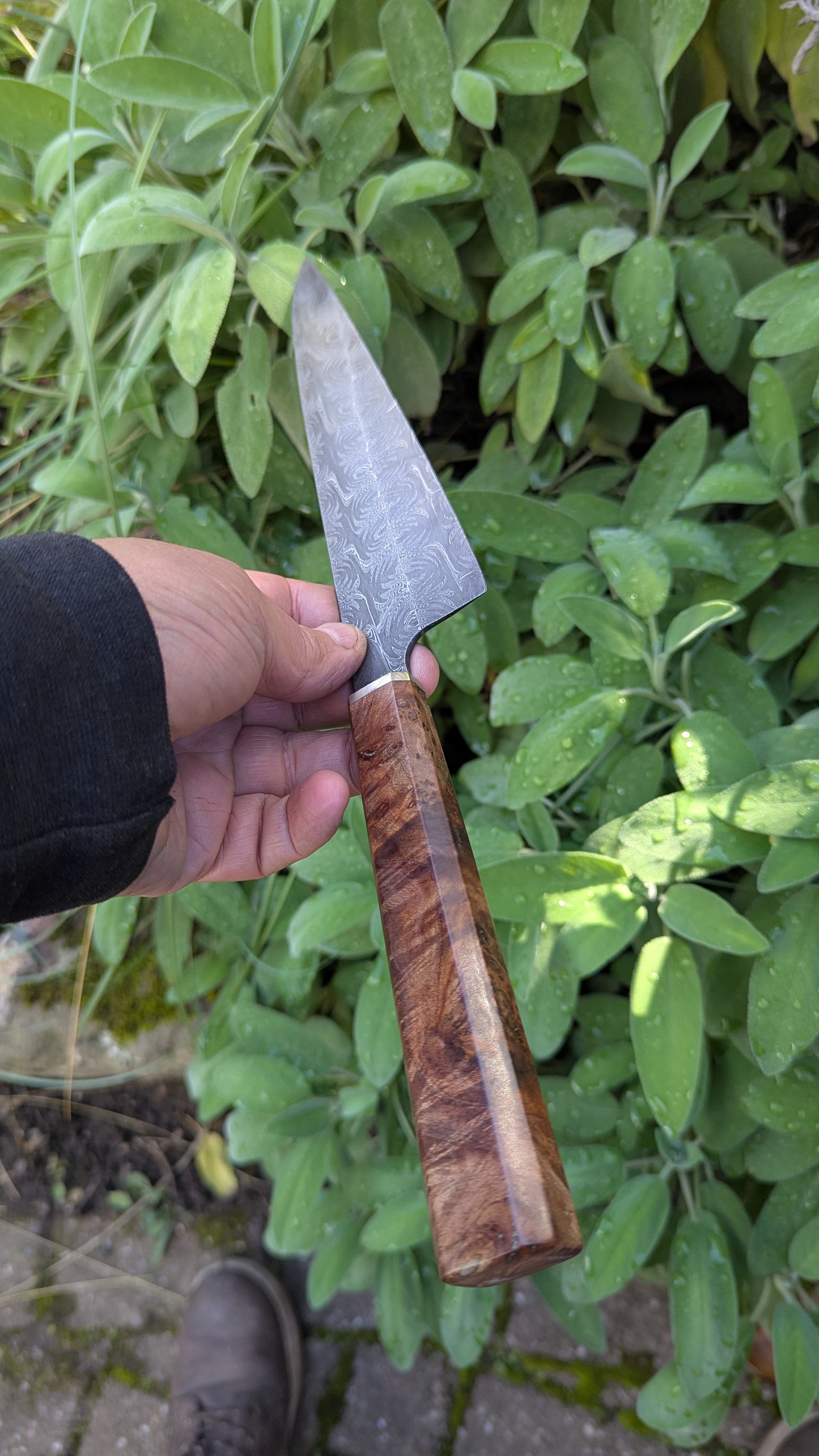 Handmade 8" Carbon Steel Damascus, Wood Burl