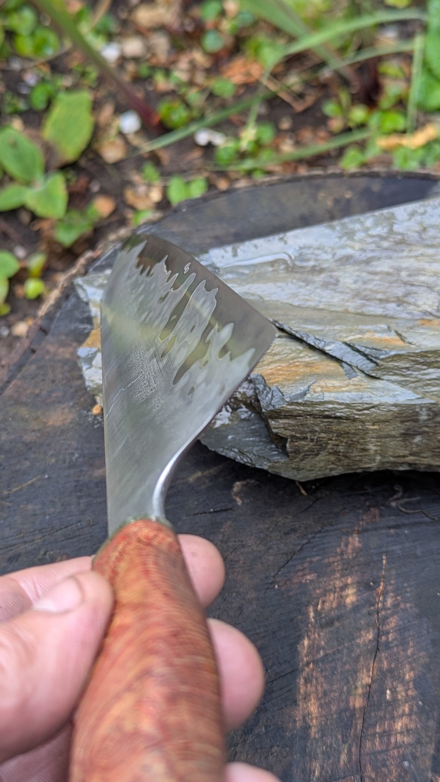 Hand made 8" Takefu Super Blue Stainless Clad San Mai. English Oak Burr Handle