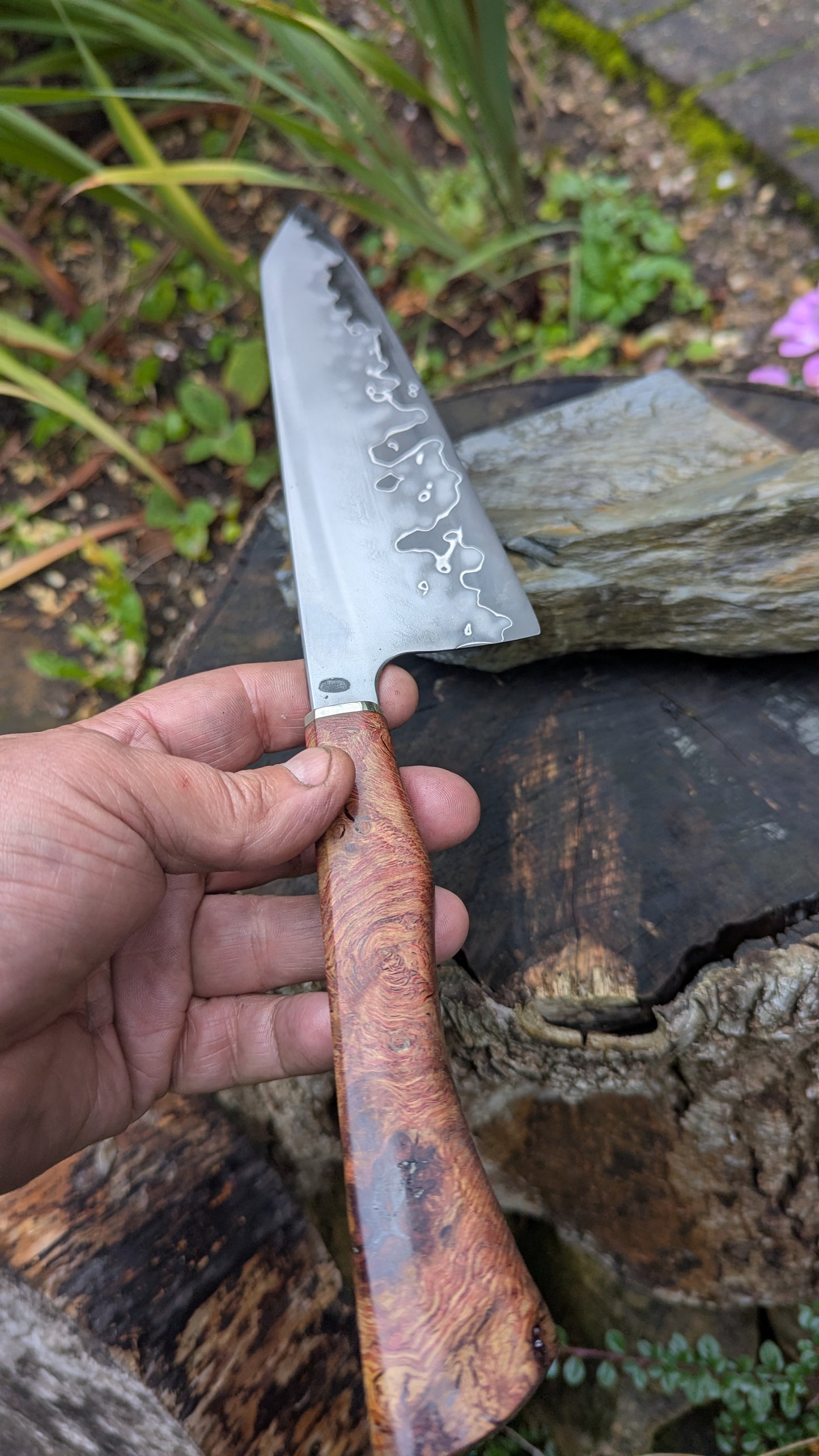Hand made 8" Takefu Super Blue Stainless Clad San Mai. English Oak Burr Handle
