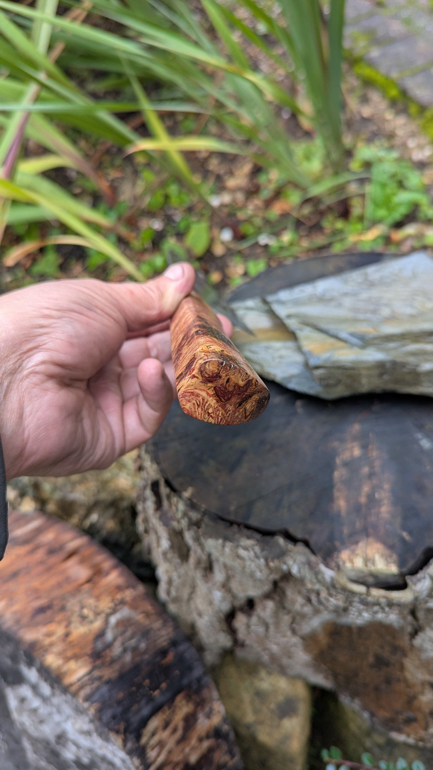 Hand made 8" Takefu Super Blue Stainless Clad San Mai. English Oak Burr Handle