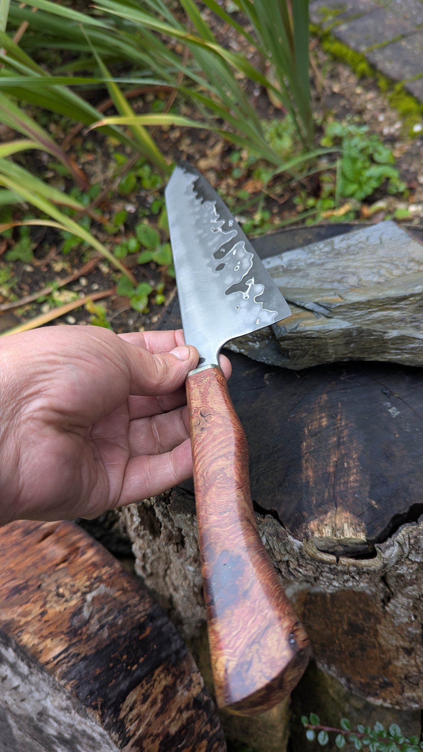 Hand made 8" Takefu Super Blue Stainless Clad San Mai. English Oak Burr Handle
