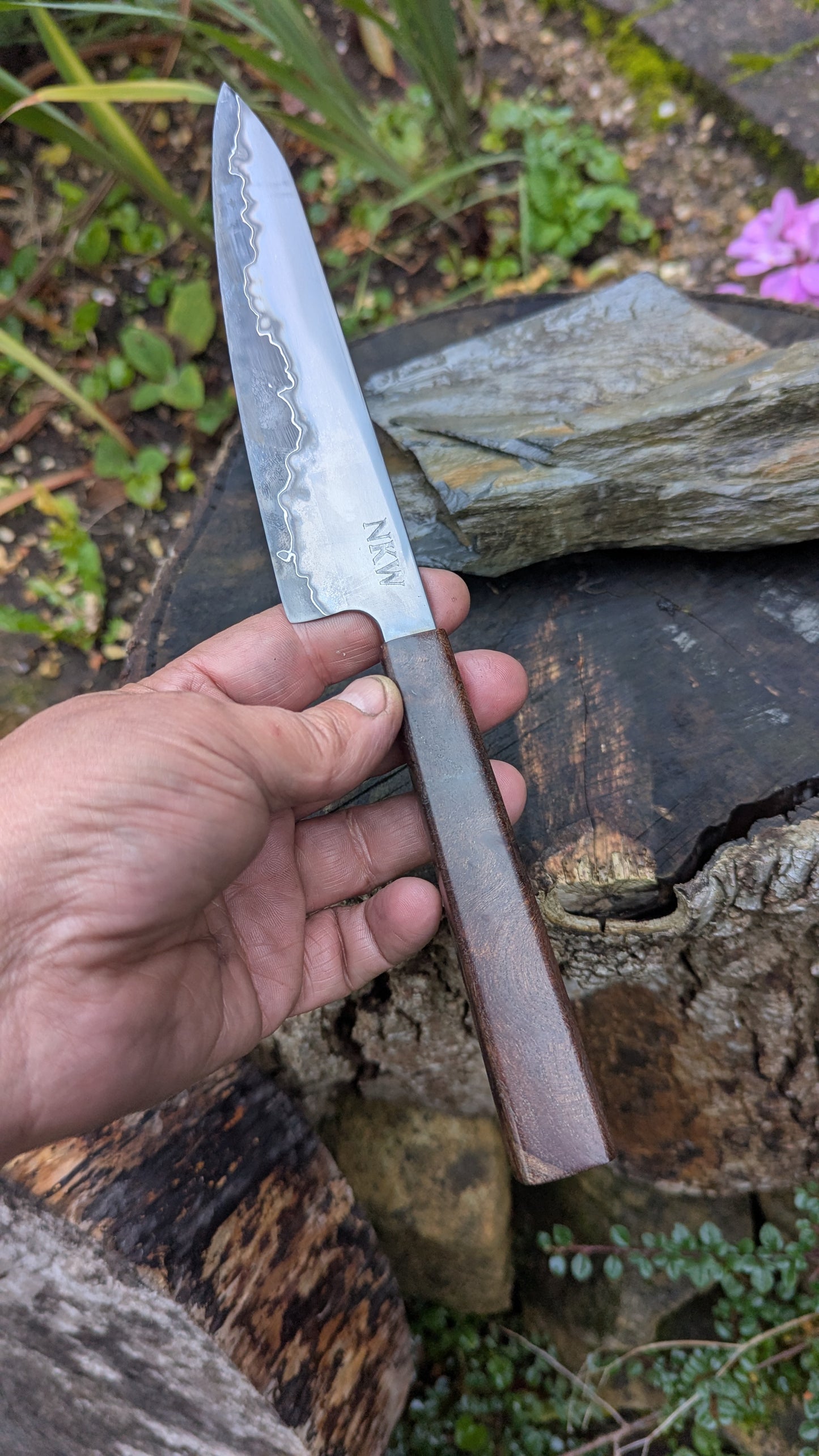 Hand made 6" Takefu super blue stainless clad San Mai. Wood burl handle