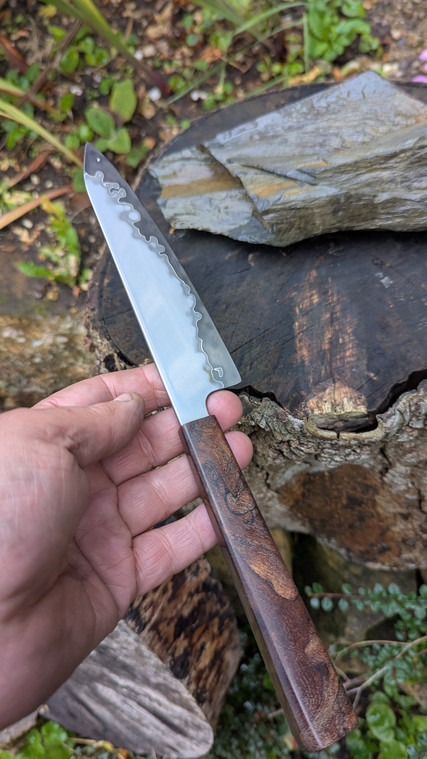 Hand made 6" Takefu super blue stainless clad San Mai. Wood burl handle