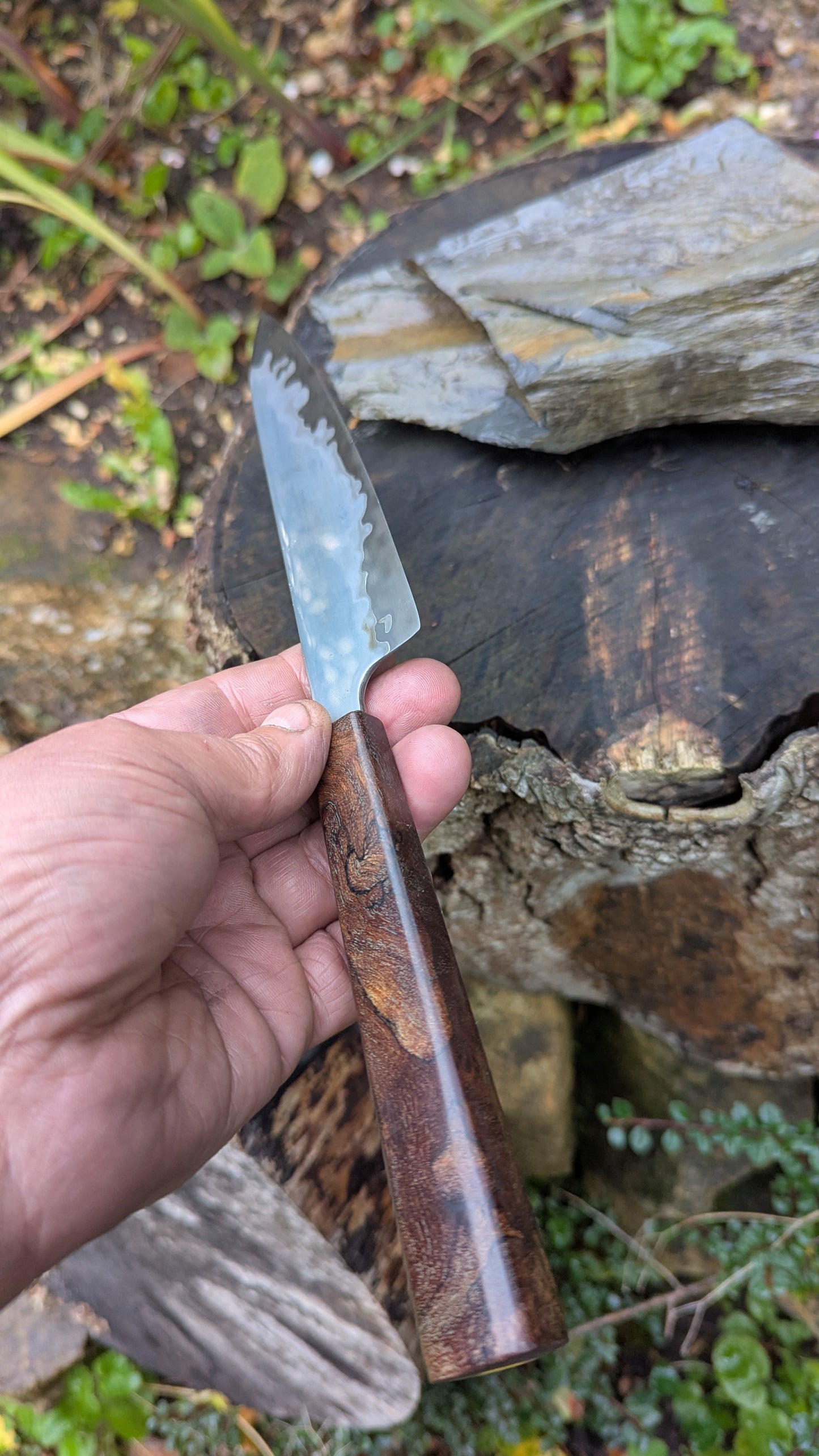 Hand made 6" Takefu super blue stainless clad San Mai. Wood burl handle
