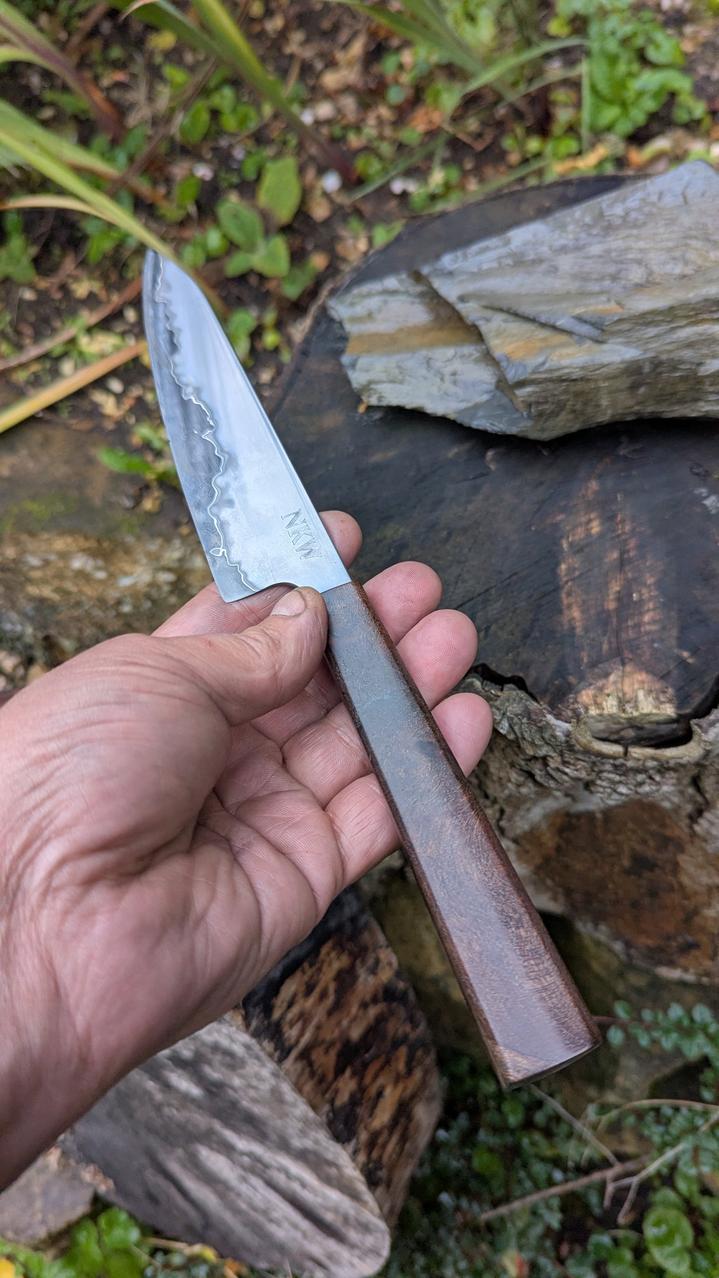Hand made 6" Takefu super blue stainless clad San Mai. Wood burl handle