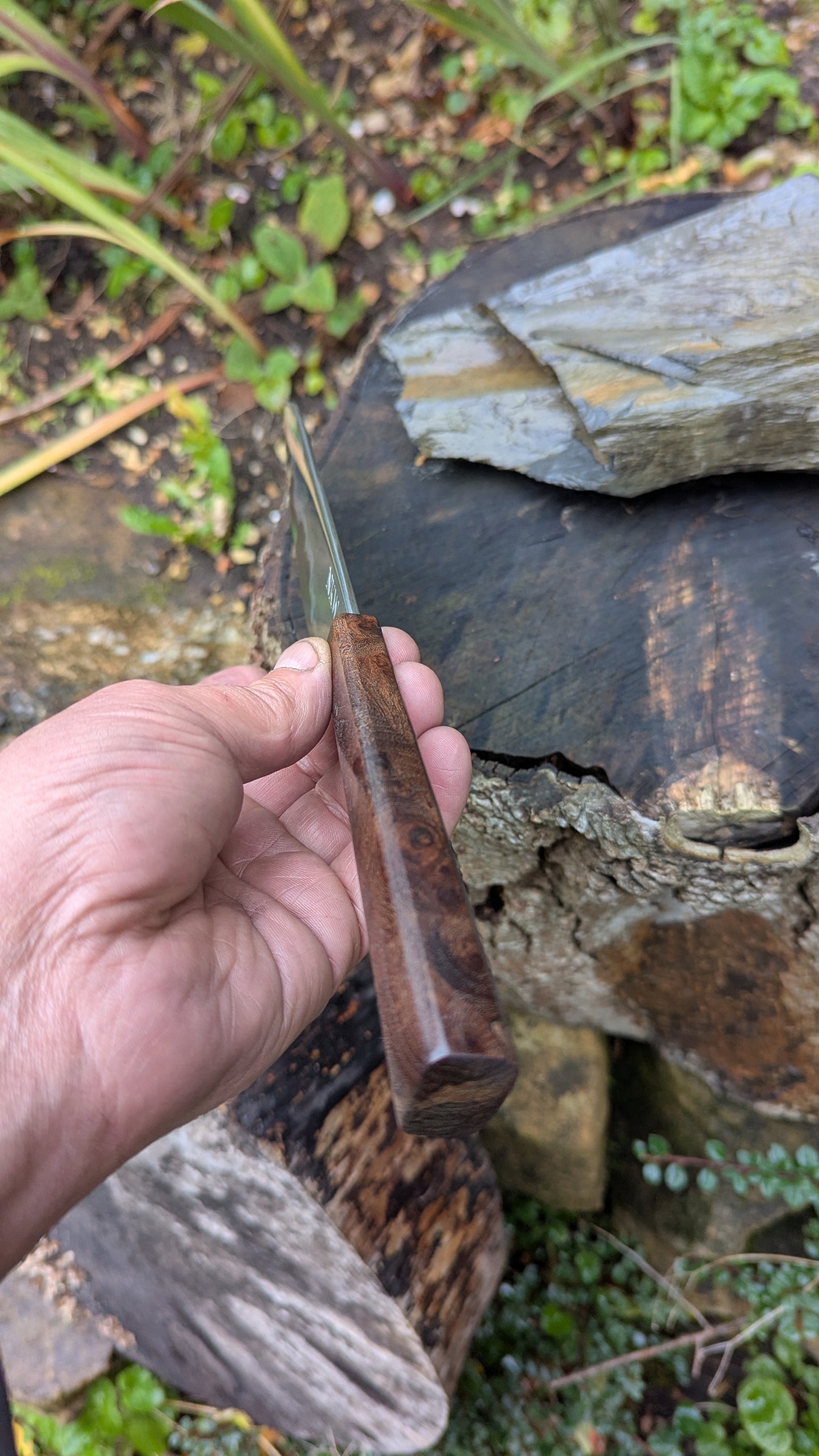 Hand made 6" Takefu super blue stainless clad San Mai. Wood burl handle