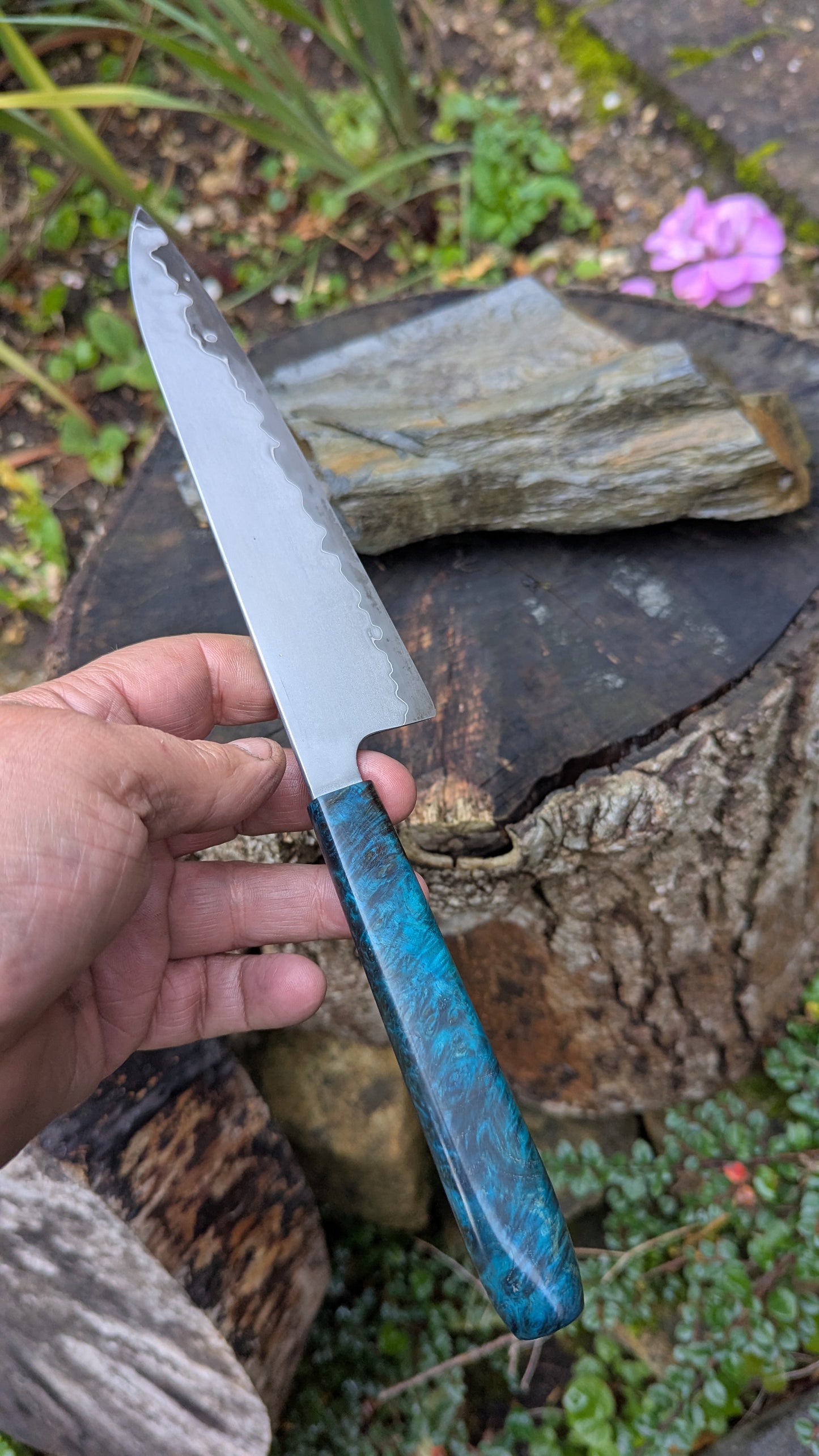 Hand made 6" Takefu super blue stainless clad San Mai. Amboyna burl handle