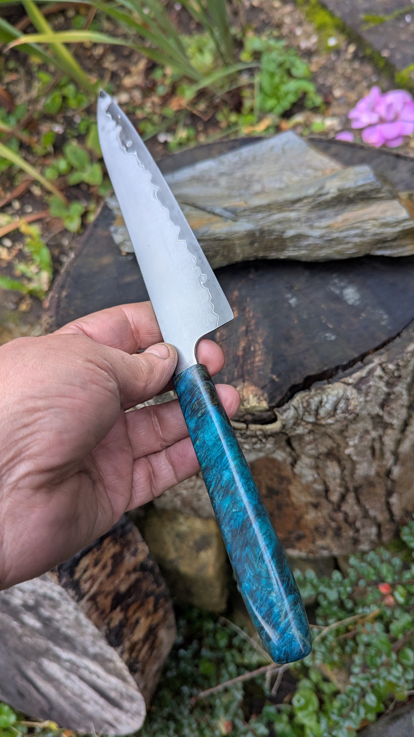 Hand made 6" Takefu super blue stainless clad San Mai. Amboyna burl handle