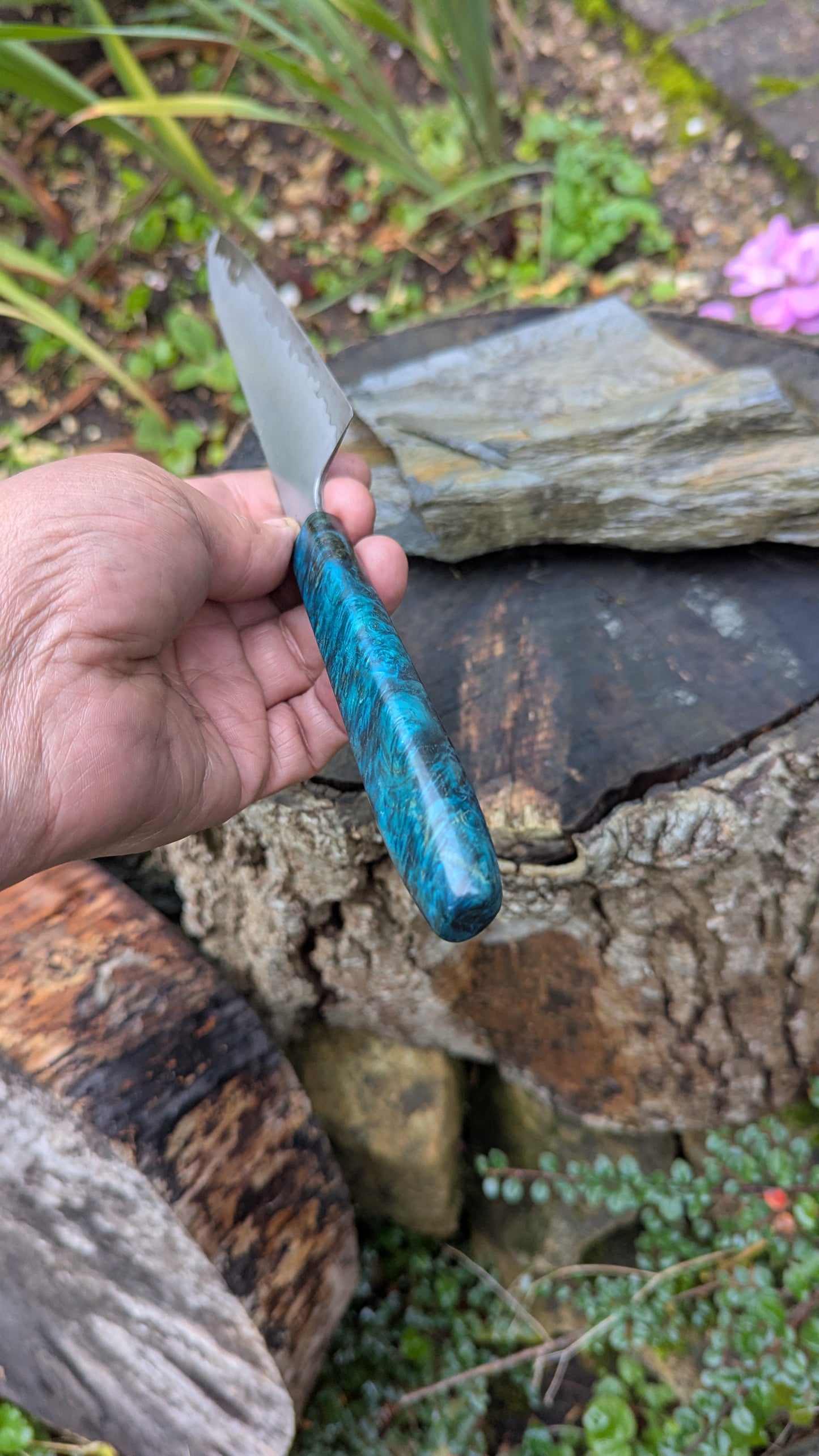 Hand made 6" Takefu super blue stainless clad San Mai. Amboyna burl handle
