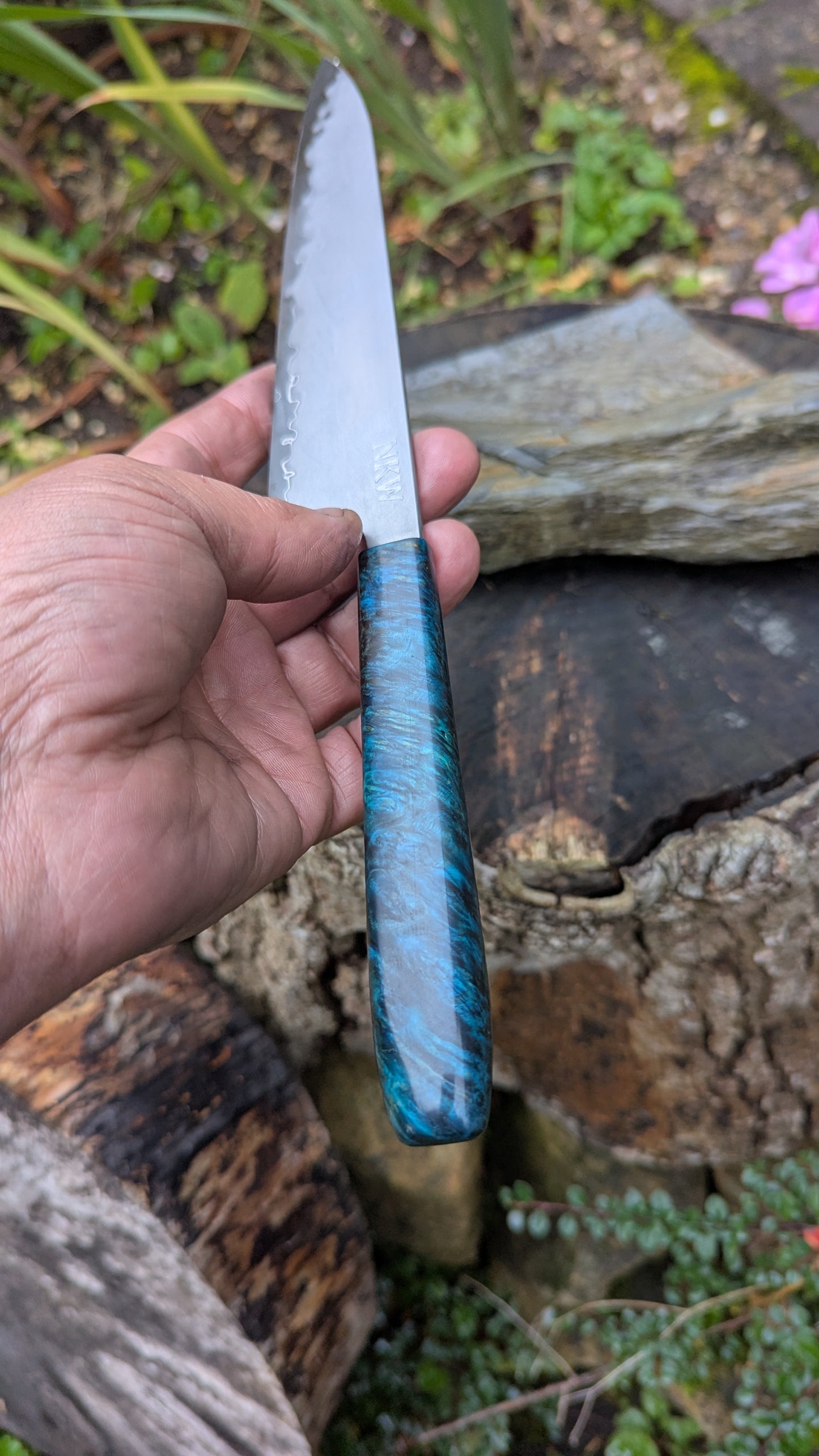 Hand made 6" Takefu super blue stainless clad San Mai. Amboyna burl handle