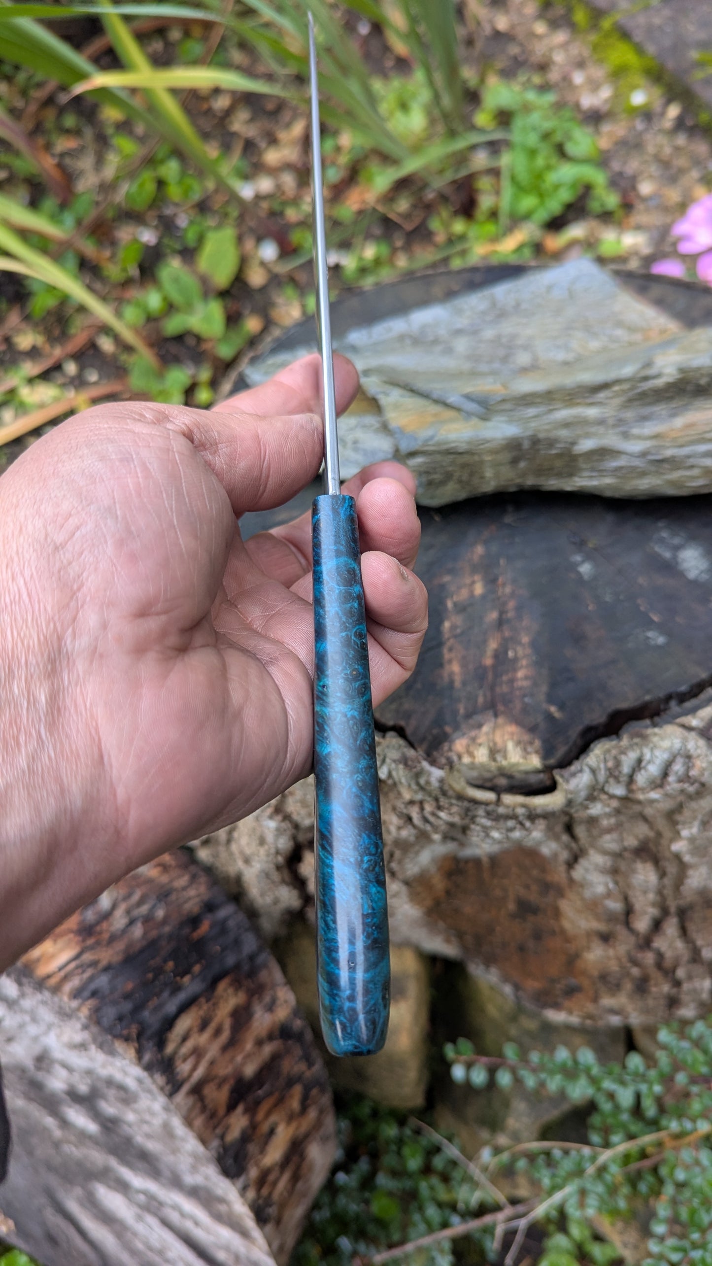 Hand made 6" Takefu super blue stainless clad San Mai. Amboyna burl handle