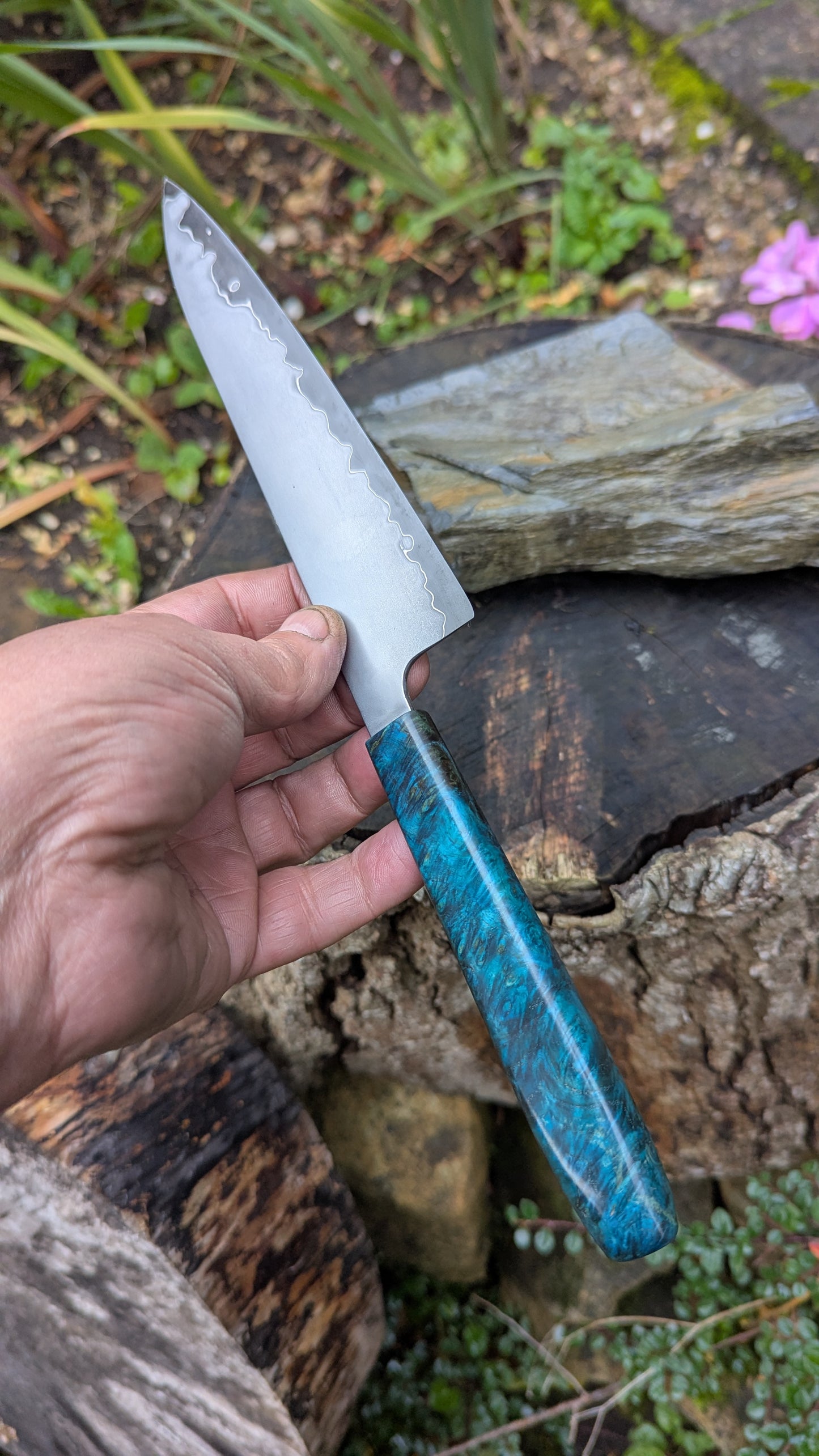 Hand made 6" Takefu super blue stainless clad San Mai. Amboyna burl handle
