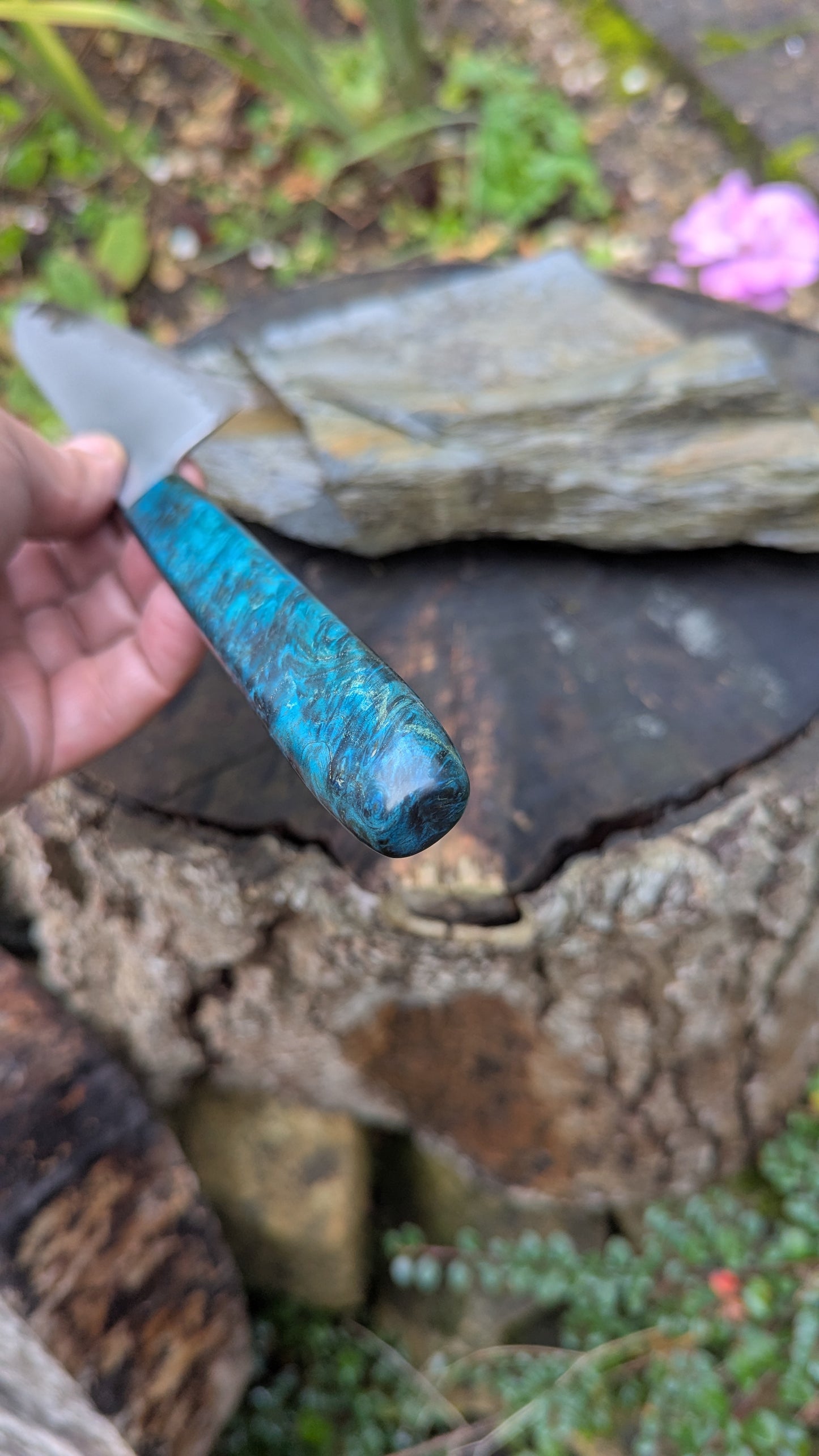 Hand made 6" Takefu super blue stainless clad San Mai. Amboyna burl handle