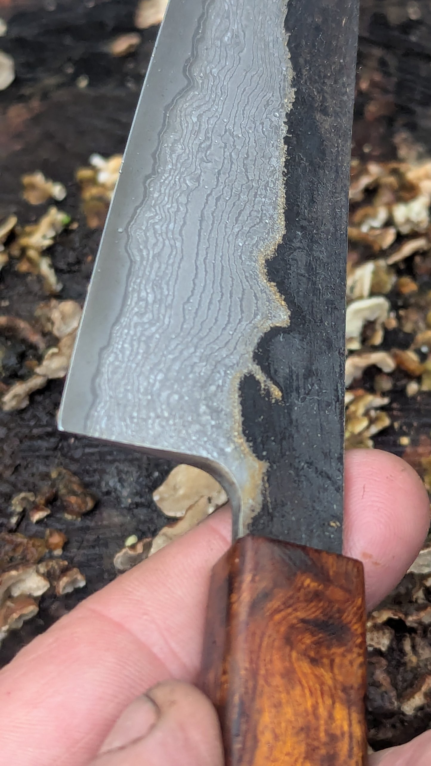 Kiritsuke 180mm Takefu VG10 Suminagashi knife. Desert Ironwood Handle