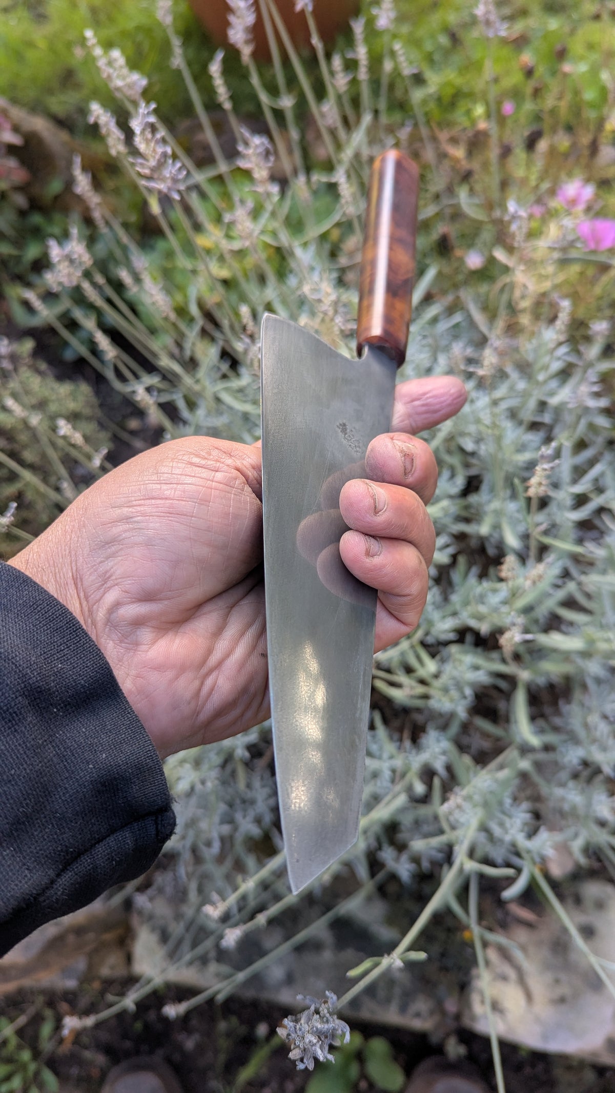 Forged 185mm Kiritsuke. Takefu Shiro 2 carbon steel with Juniper Wood Handle