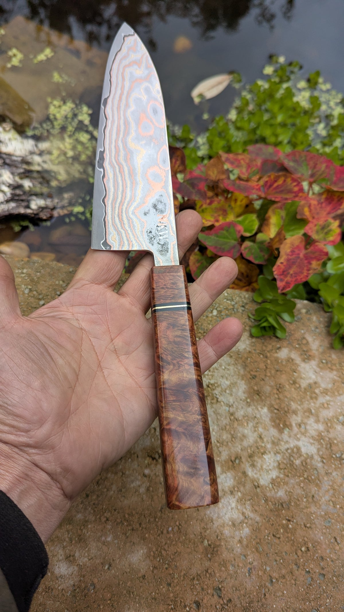 Santoku 170mm Yu-Shoku VG10W and Amboyna Burl Handle