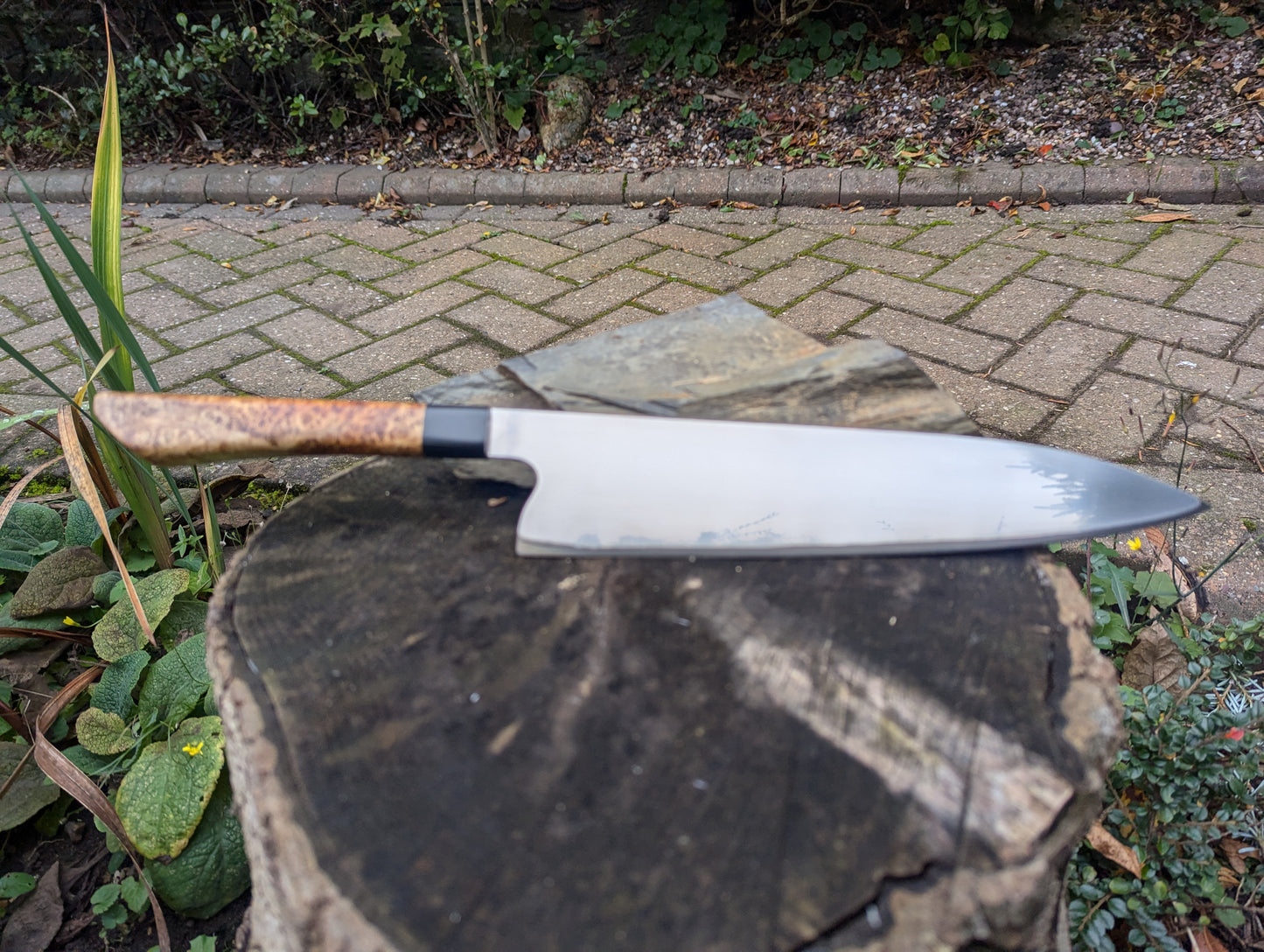 Handmade 10" chef's knife, Super blue Stainless Steel Clad. Amboyna burl handle