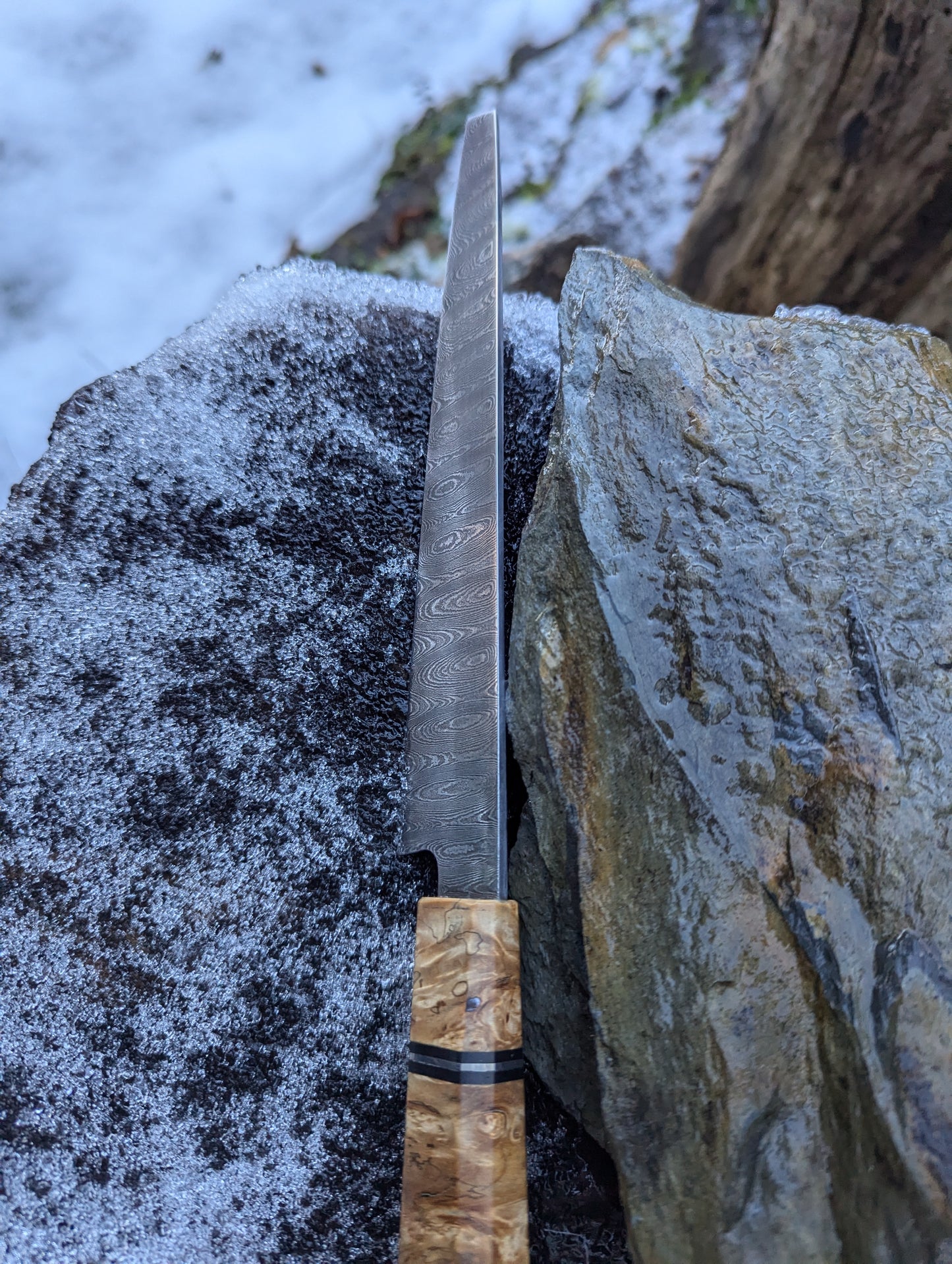 Handmade 7" utility / petty knife, Hand-forged ladder Damascus. chestnut burl with black G10 and nickel handle