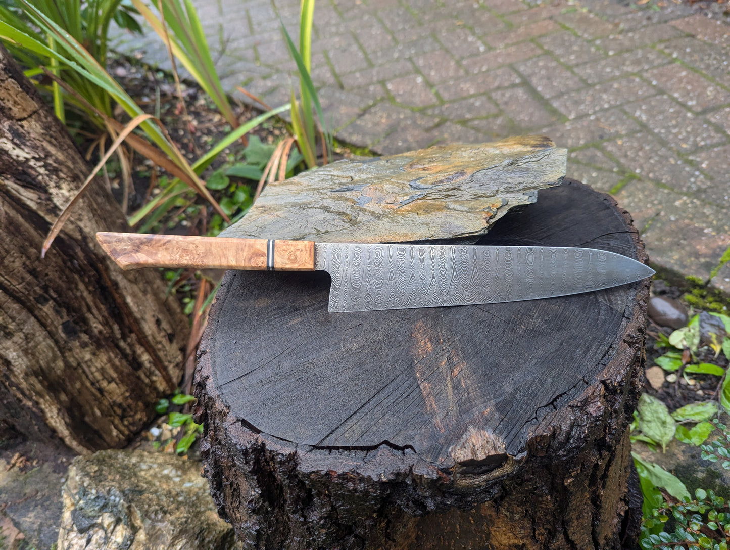 Handmade 8" Gyuto, Hand-forged ladder Damascus. chestnut burl with black G10 and nickel handle