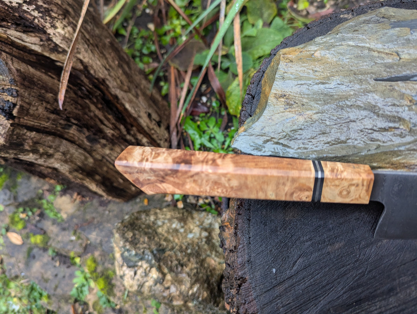 Handmade 8" Gyuto, Hand-forged ladder Damascus. chestnut burl with black G10 and nickel handle