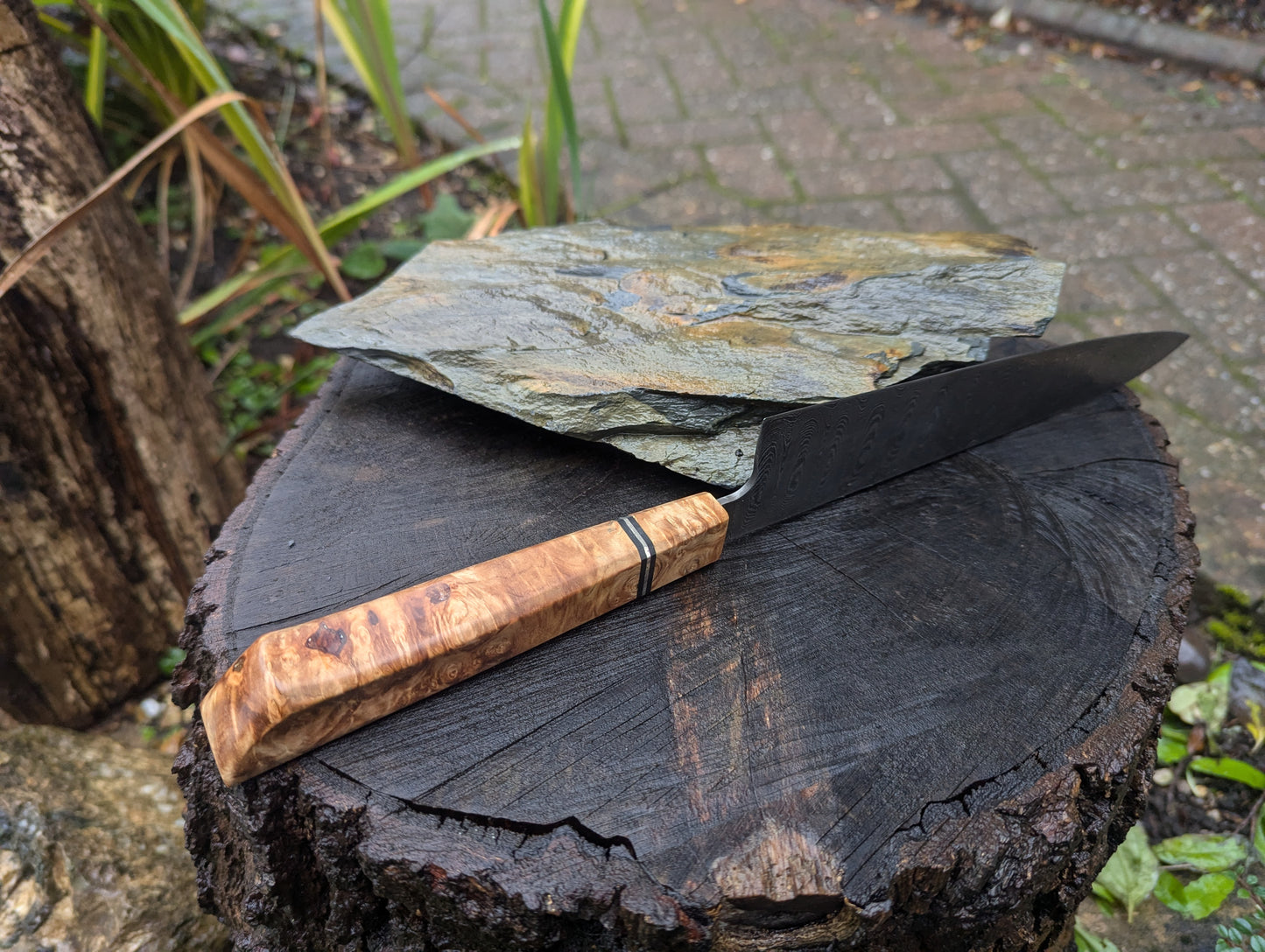 Handmade 8" Gyuto, Hand-forged ladder Damascus. chestnut burl with black G10 and nickel handle