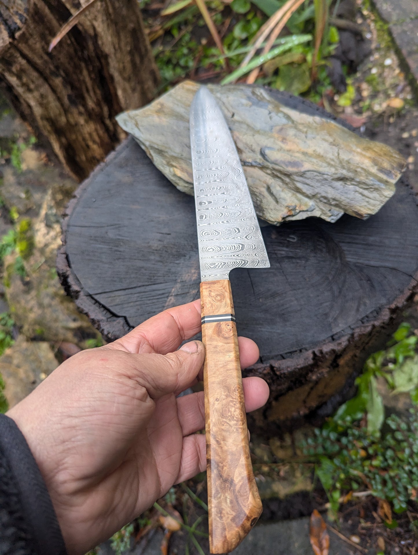 Handmade 8" Gyuto, Hand-forged ladder Damascus. chestnut burl with black G10 and nickel handle