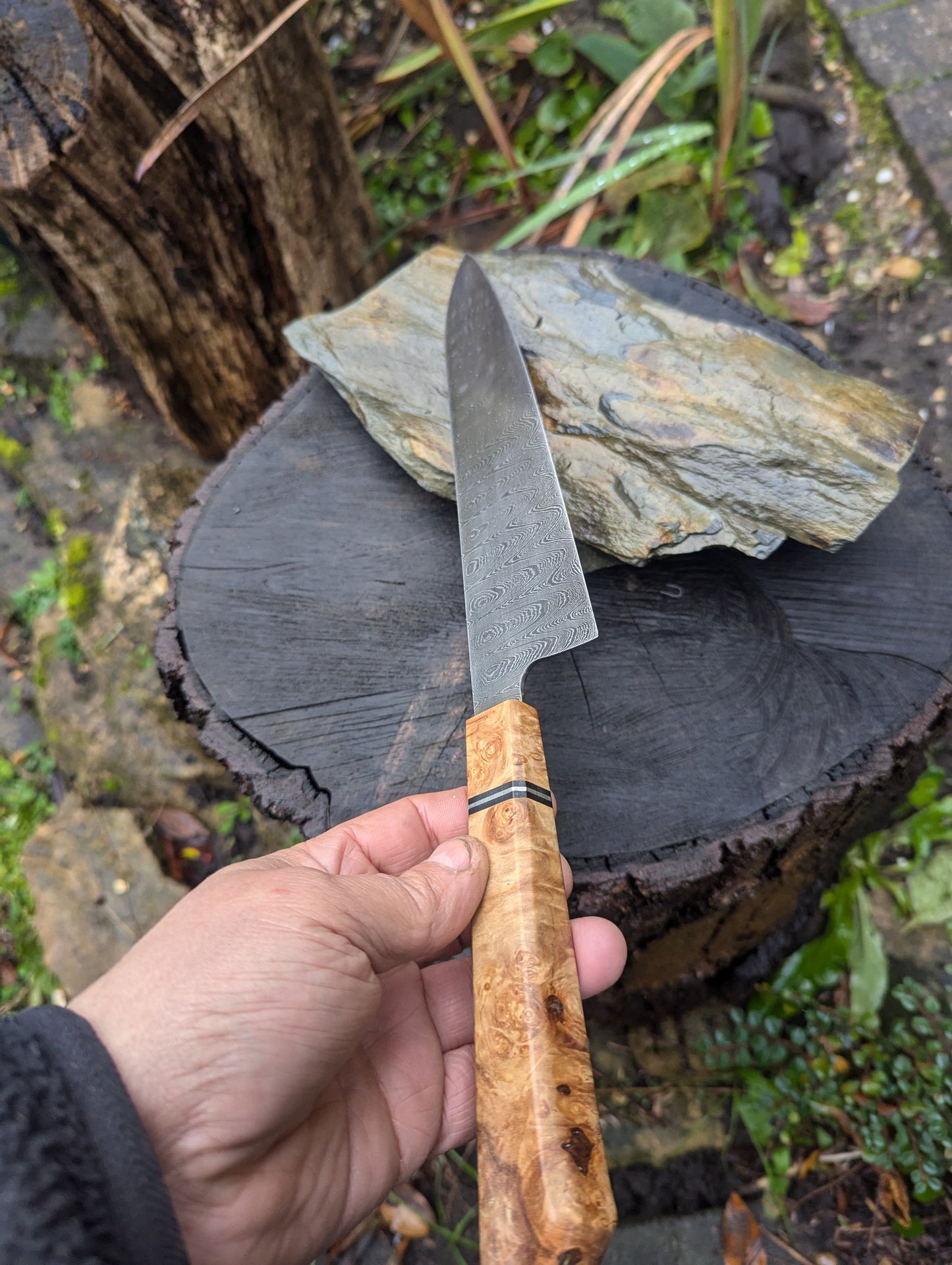 Handmade 8" Gyuto, Hand-forged ladder Damascus. chestnut burl with black G10 and nickel handle