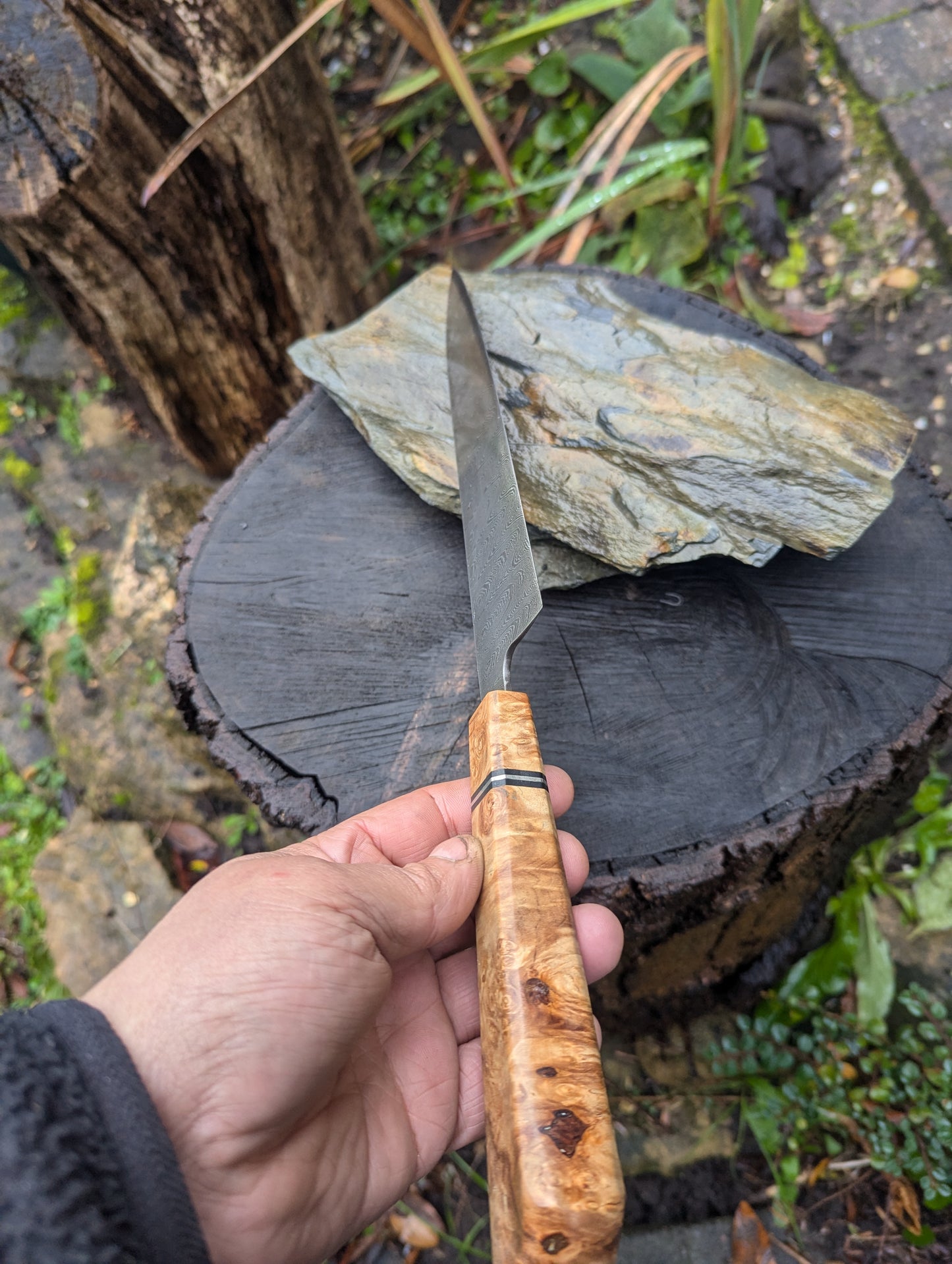 Handmade 8" Gyuto, Hand-forged ladder Damascus. chestnut burl with black G10 and nickel handle