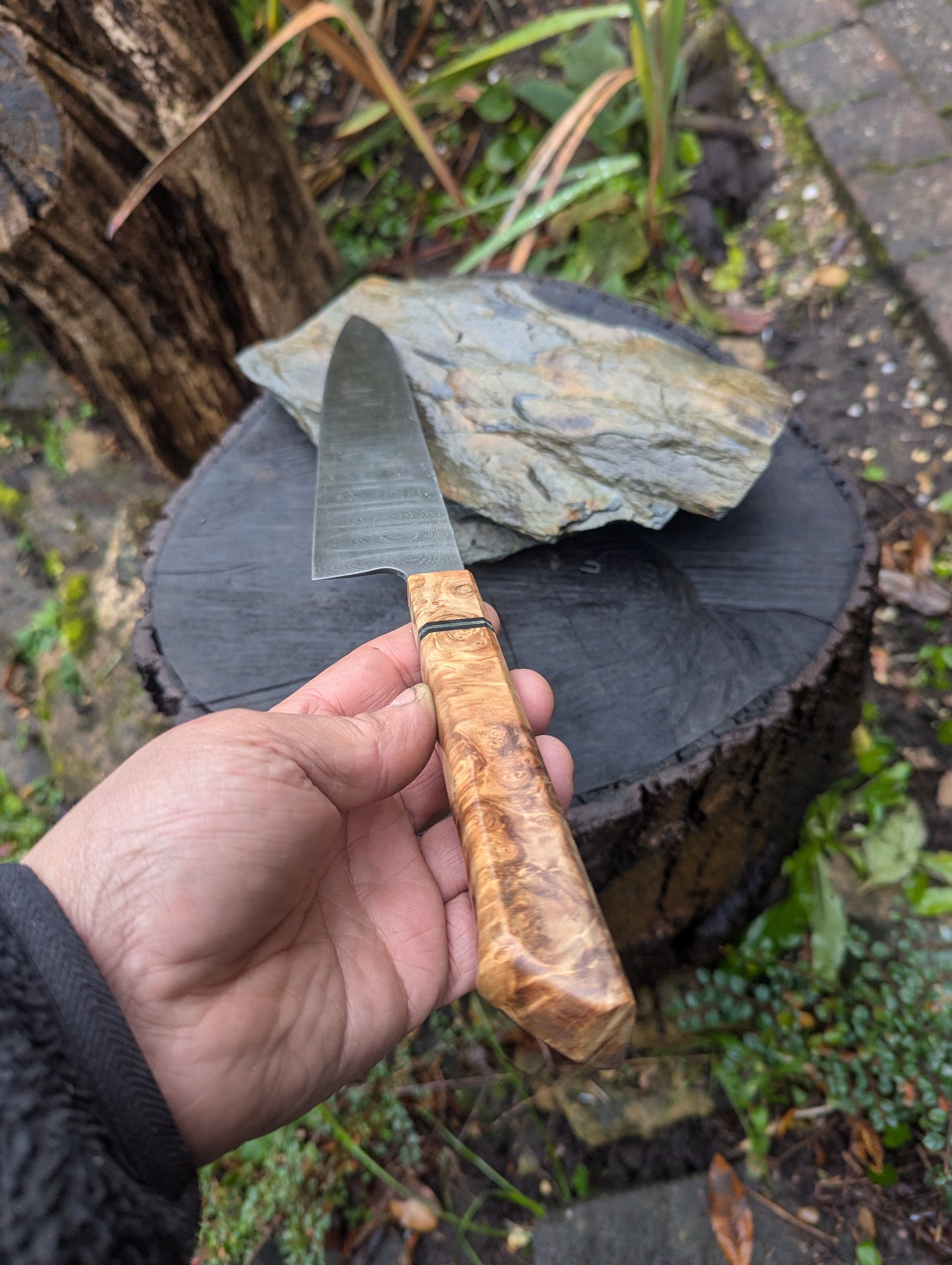 Handmade 8" Gyuto, Hand-forged ladder Damascus. chestnut burl with black G10 and nickel handle