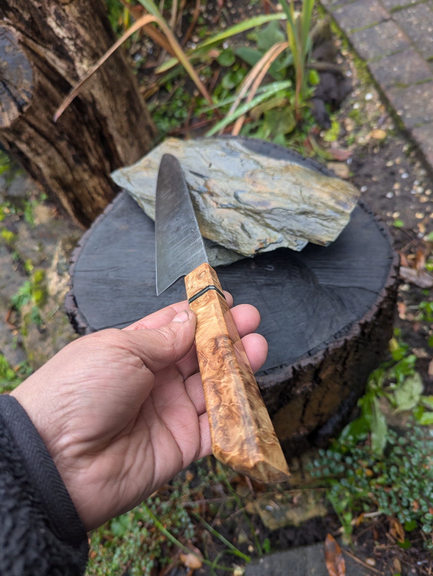 Handmade 8" Gyuto, Hand-forged ladder Damascus. chestnut burl with black G10 and nickel handle