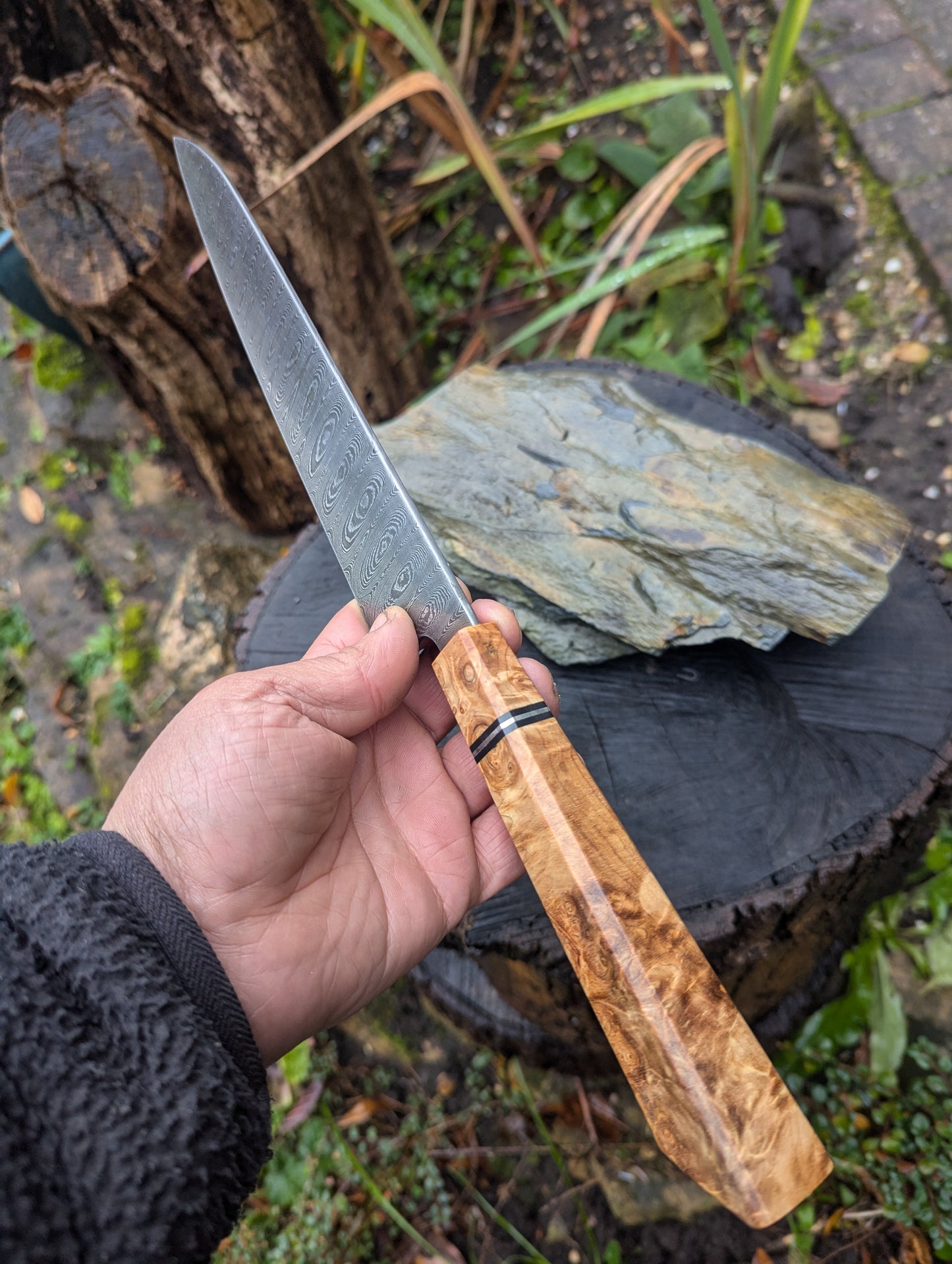 Handmade 8" Gyuto, Hand-forged ladder Damascus. chestnut burl with black G10 and nickel handle