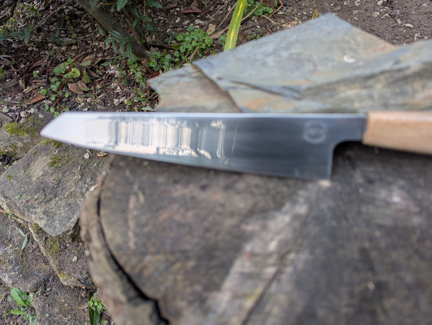 Handmade 8" Damasteel RWL34 stainless steel. Cade wood handle (Copy)