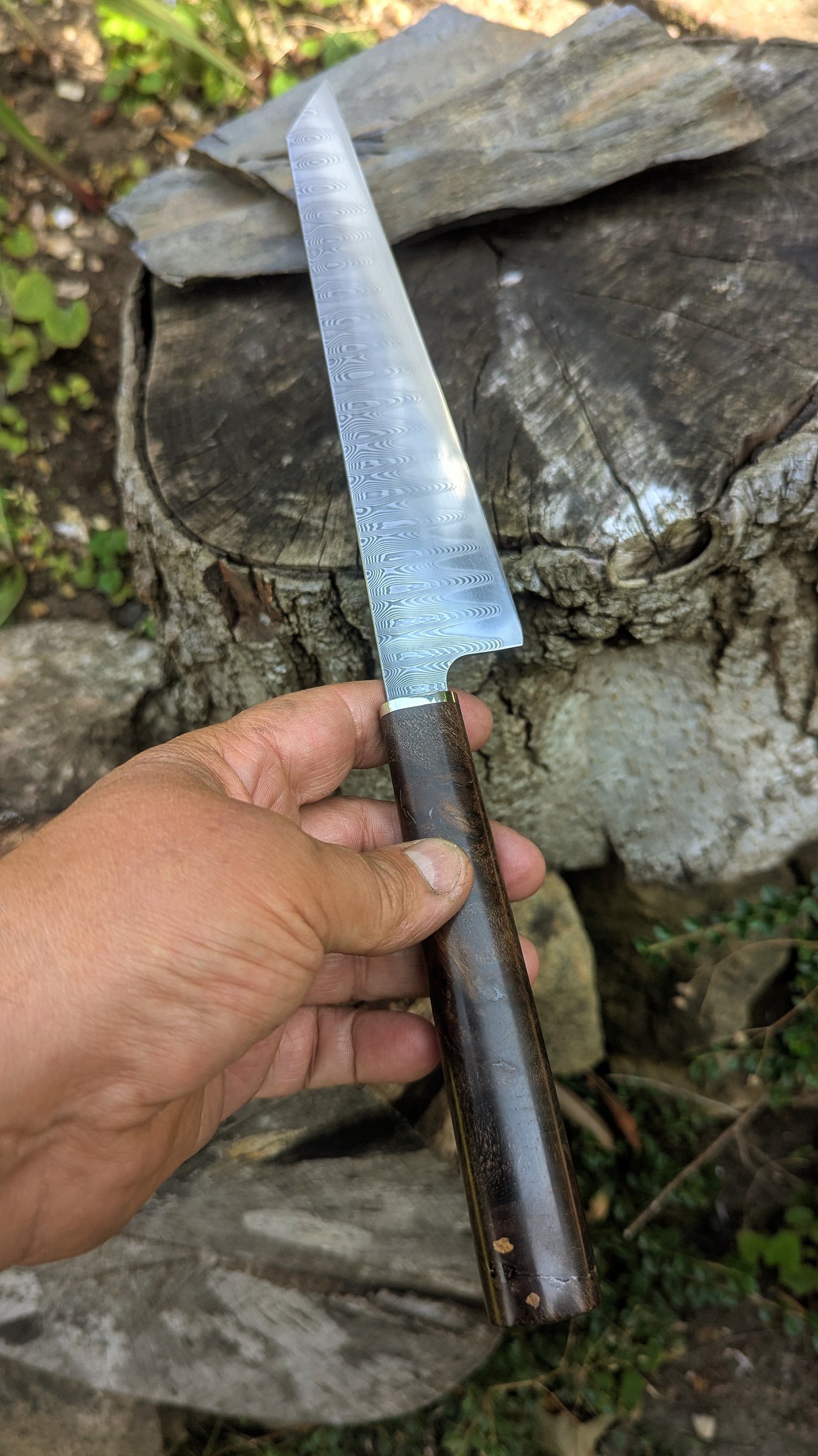 Hand made 8" stainless damascus san Mai. Burr Elm wood handle